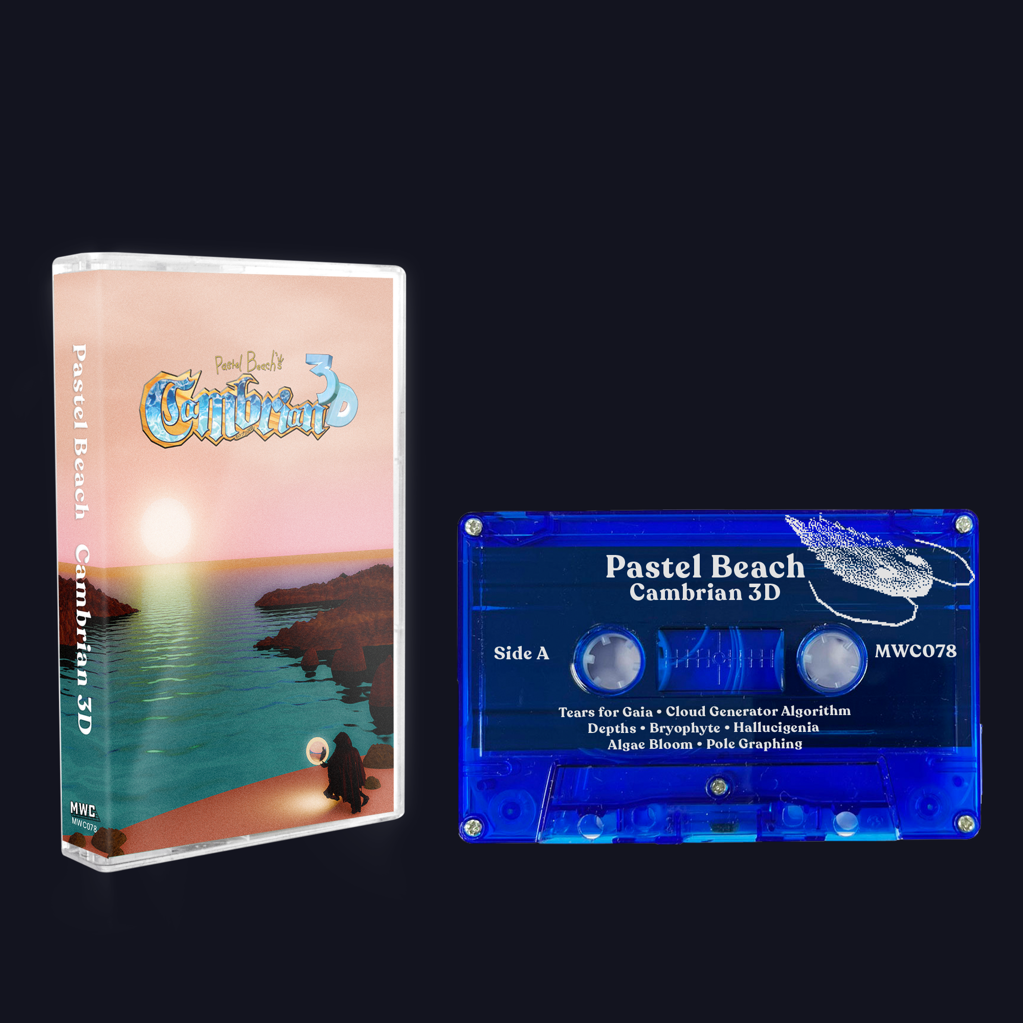 Cambrian 3D by Pastel Beach [Cassette Tape]