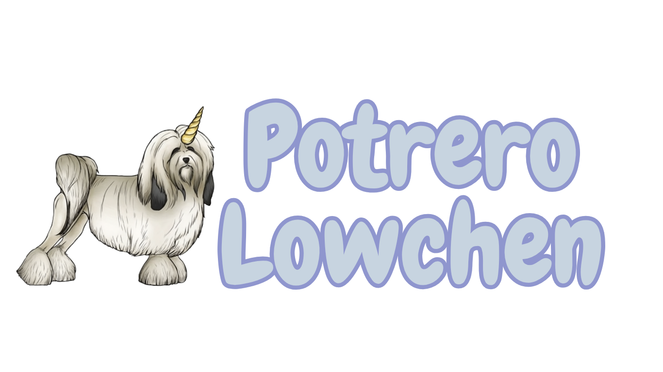 Potrero Lowchen