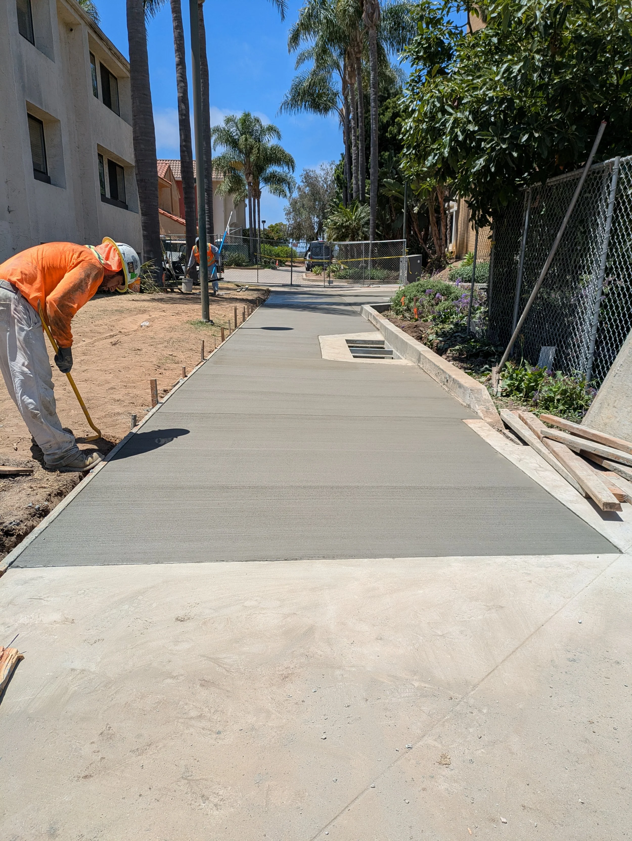 Workers in construction gear smoothing freshly poured concrete sidewalk in a residential area with palm trees and a chain-link fence.