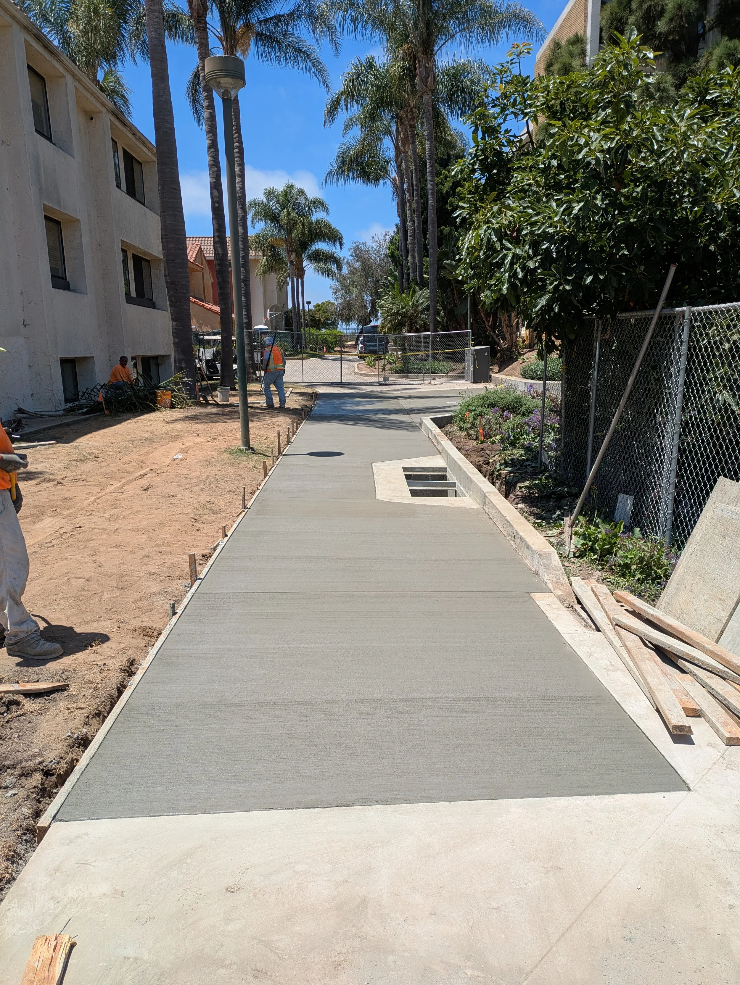 Workers installing a concrete sidewalk in a residential or urban area, with palm trees and bushes along the sides and buildings in the background.