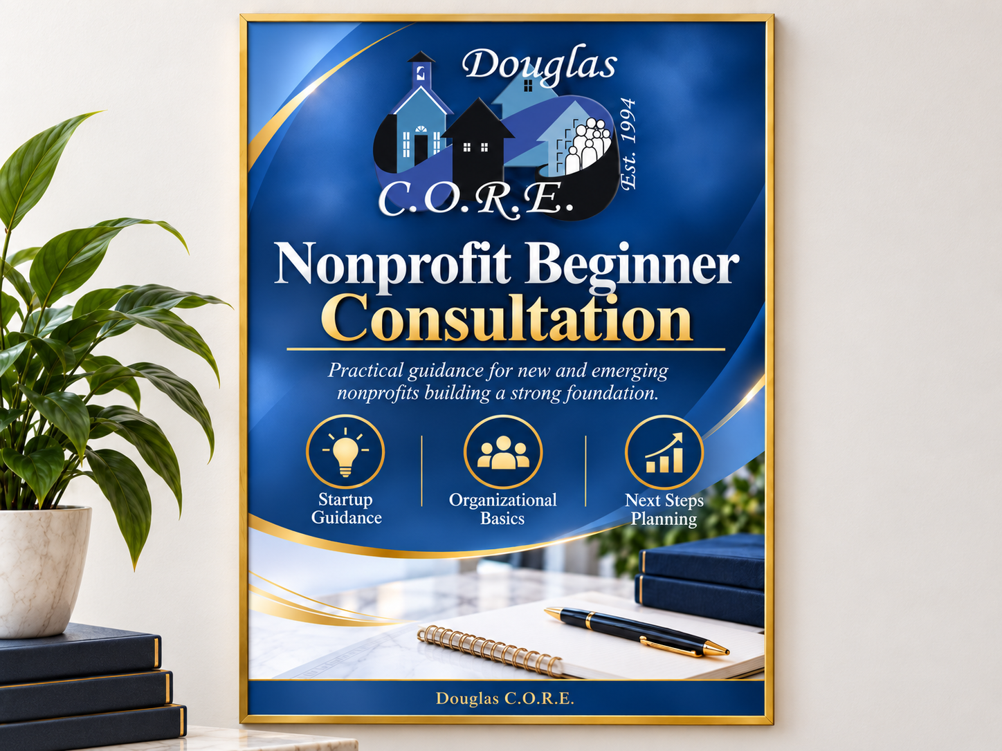 Non-profit Beginner Consultation