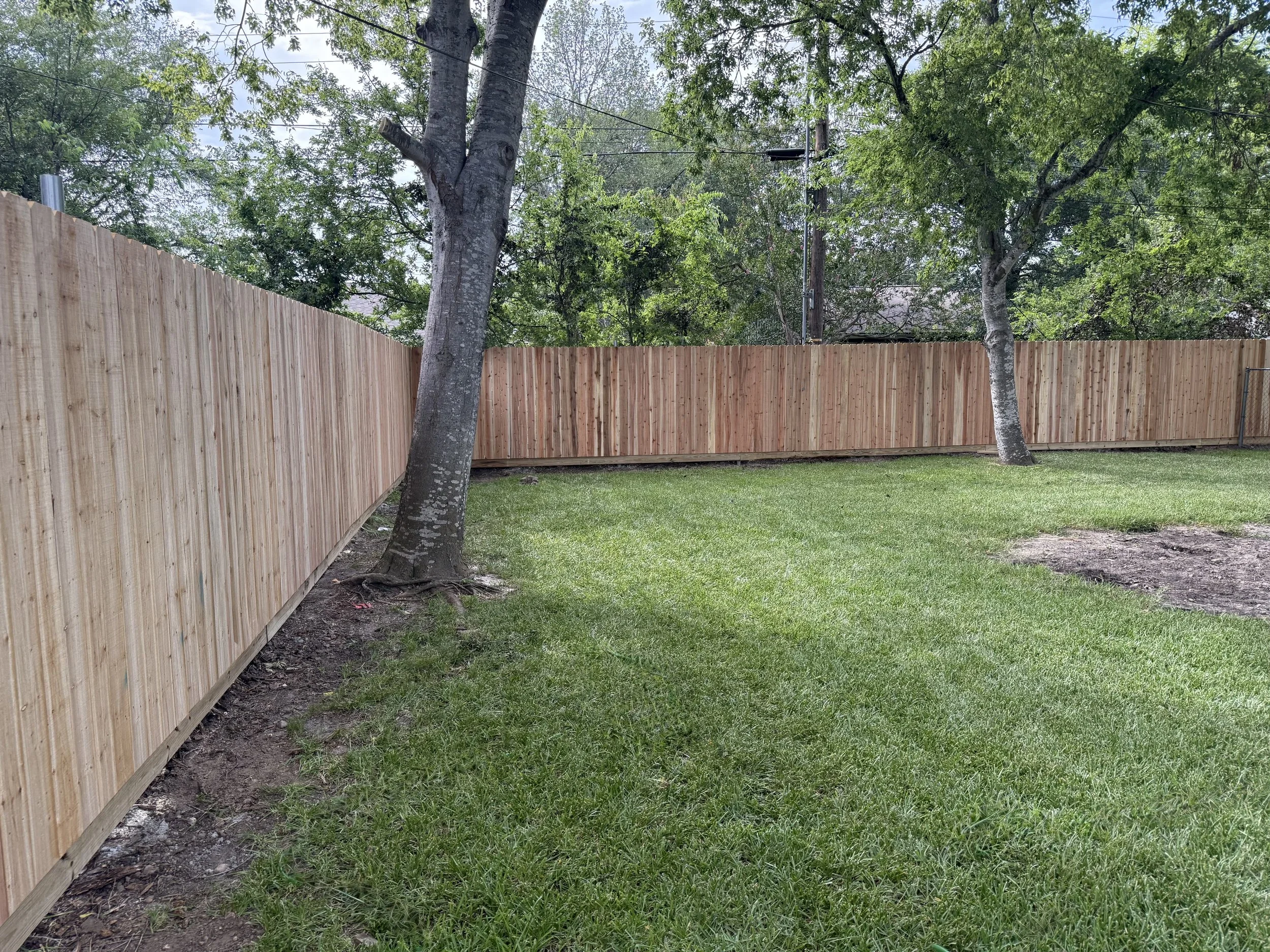 A backyard with a newly installed wooden privacy fence, green grass, and tall trees with green foliage. 6' privacy with baseboard option. located in the brazos valley