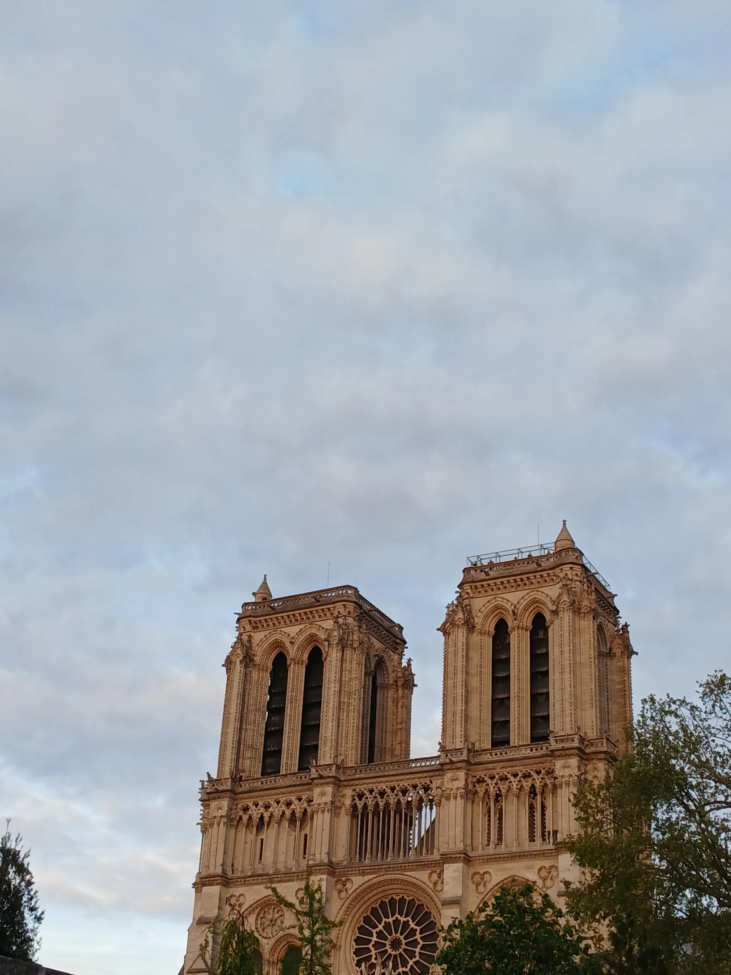 20260417_202157.jpg