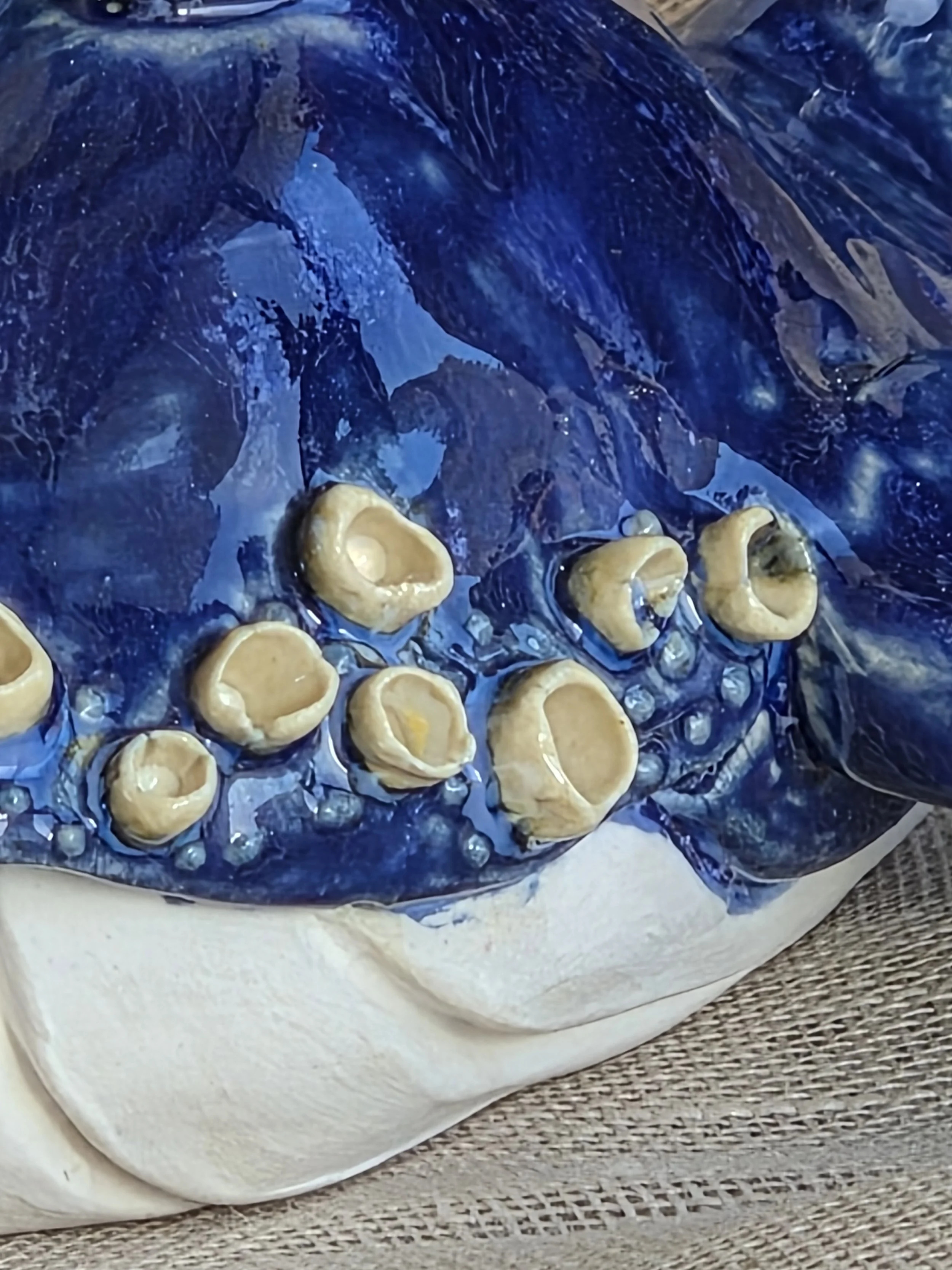 20260912_154841.jpg
