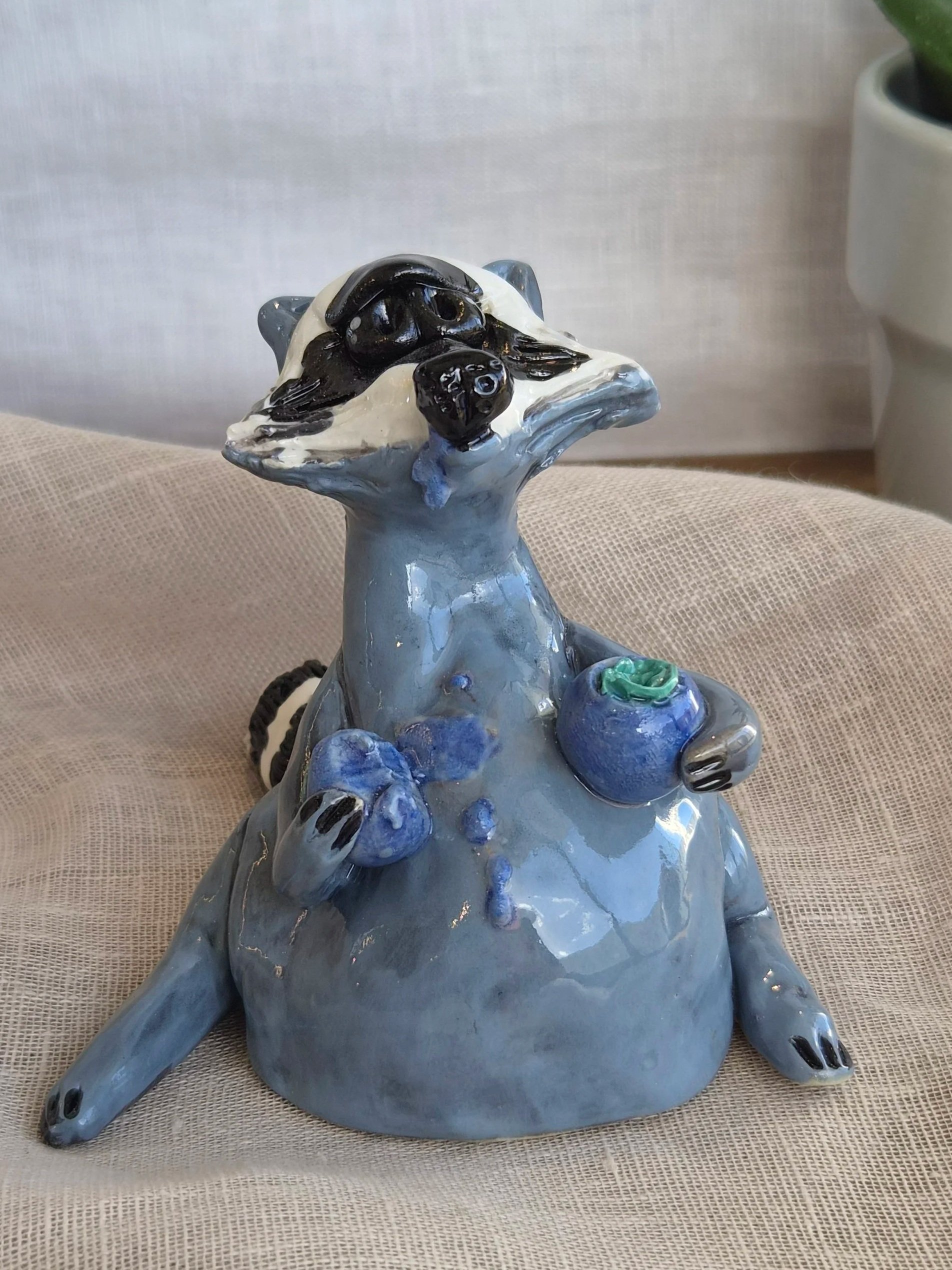 Raccoon with Blueberries