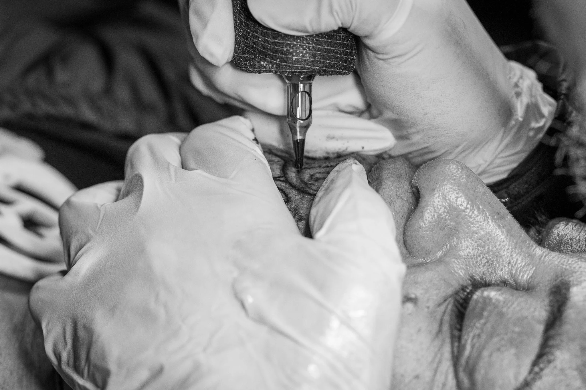 DSC_8821.jpg