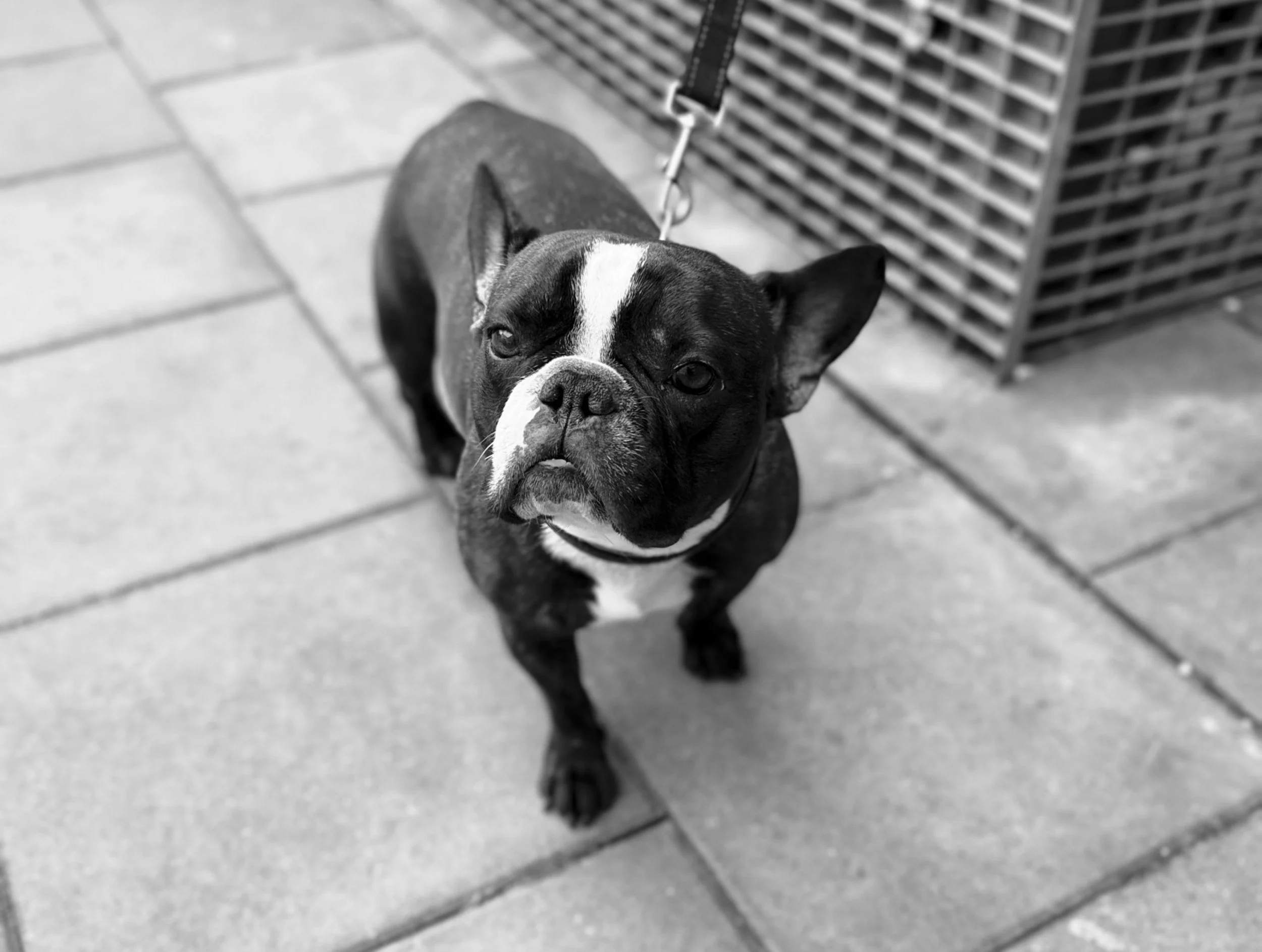unsplash-image-1x1aWYWv7RM.jpg