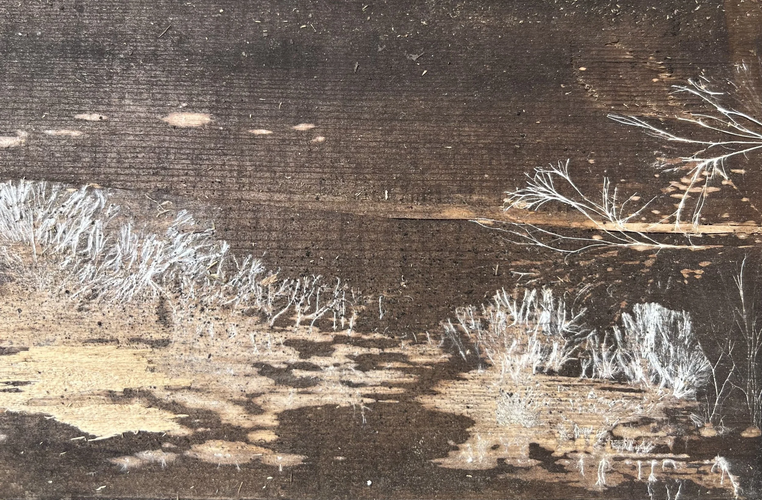 Close-up of a worn, dark wooden surface with patches of white paint and faint scratches.