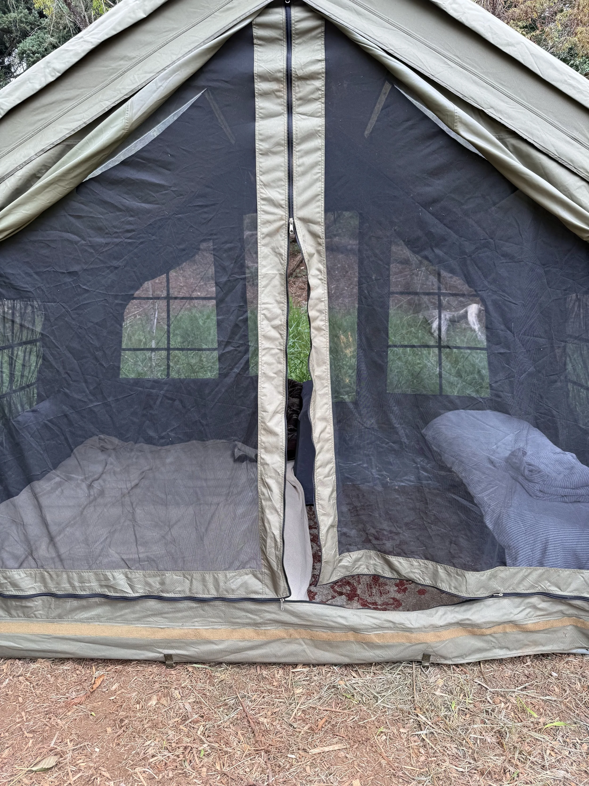 Screened canvas tent with room to spread out