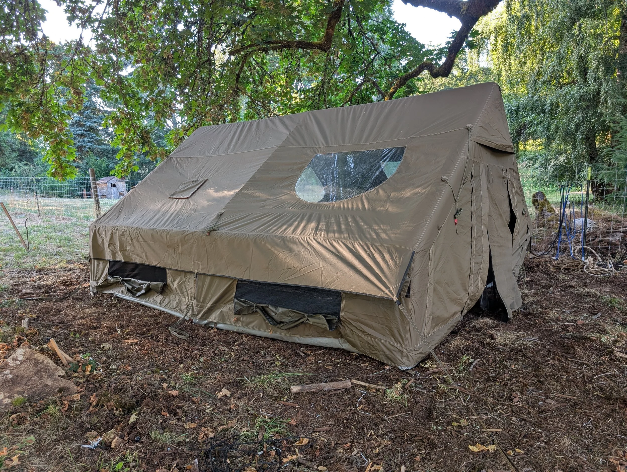 Your campsite under the maple