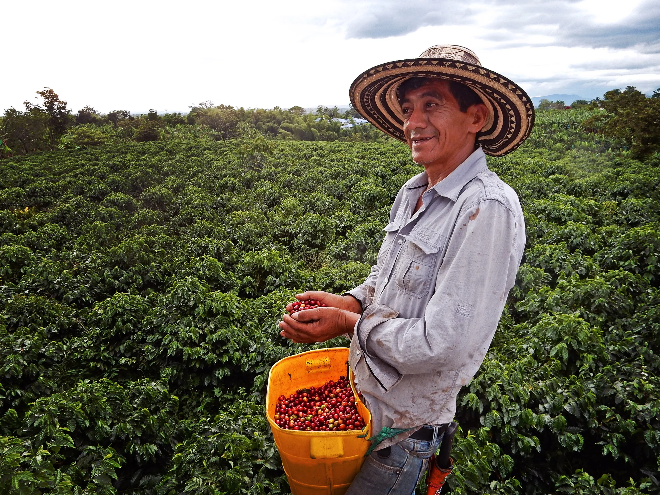 Colombia farmer.jpeg