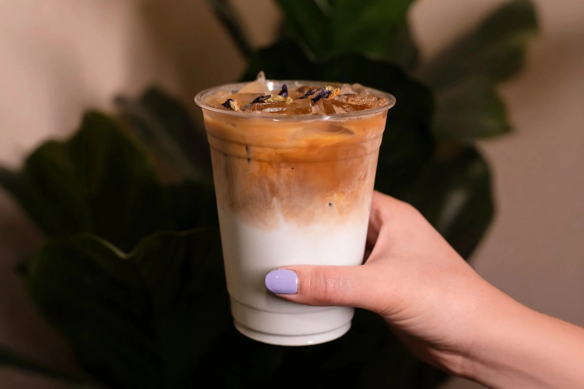 Floral Latte