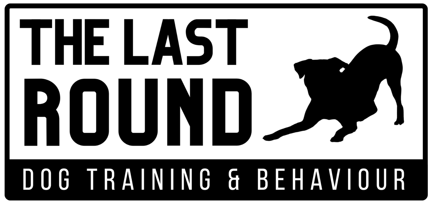 The Last Round Dog Training