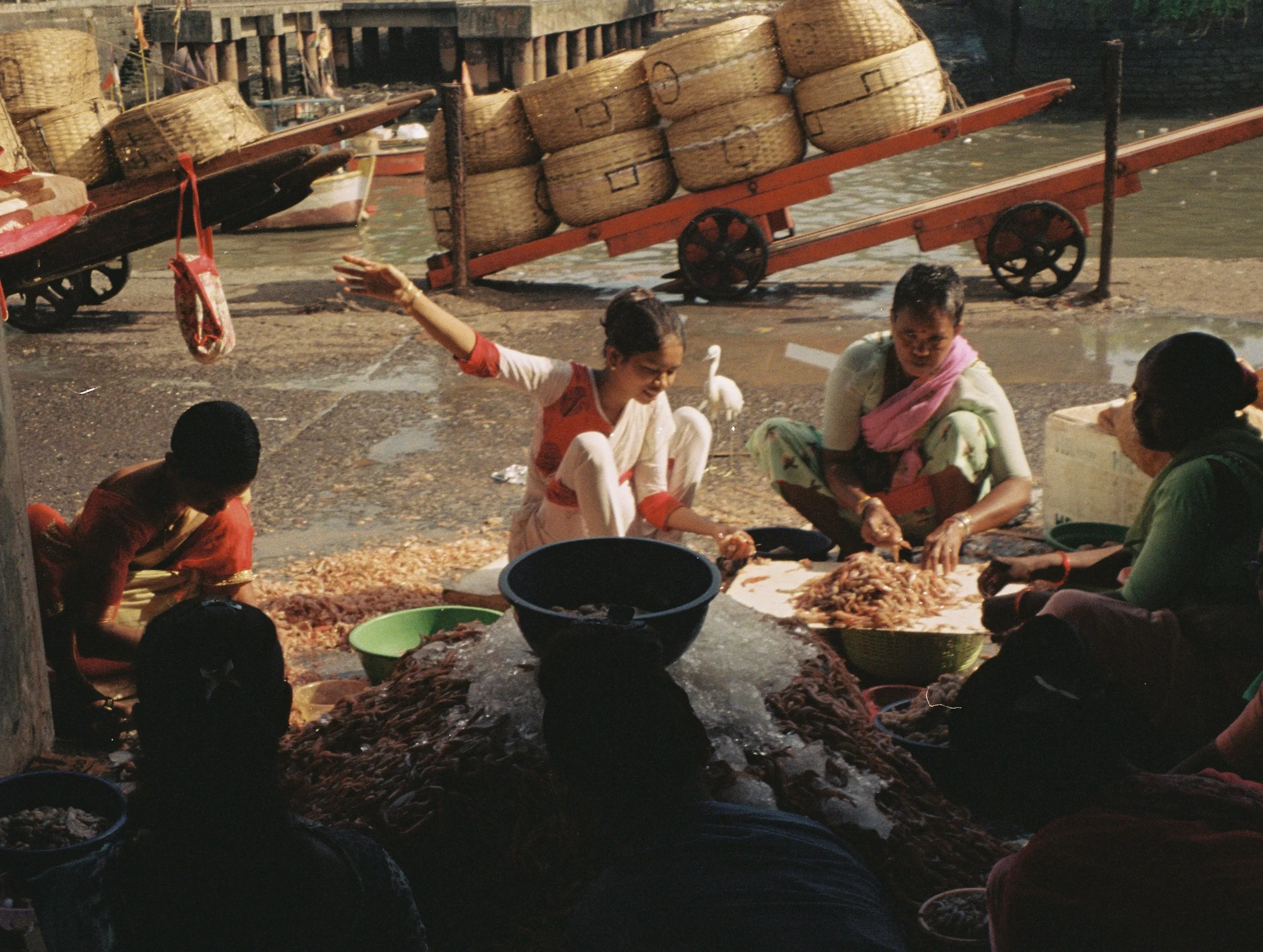 Women preparing and selling fish at a riverside market, with baskets and carts in the background. Candid film shot by Olivia Ladesic in Mumbai, India