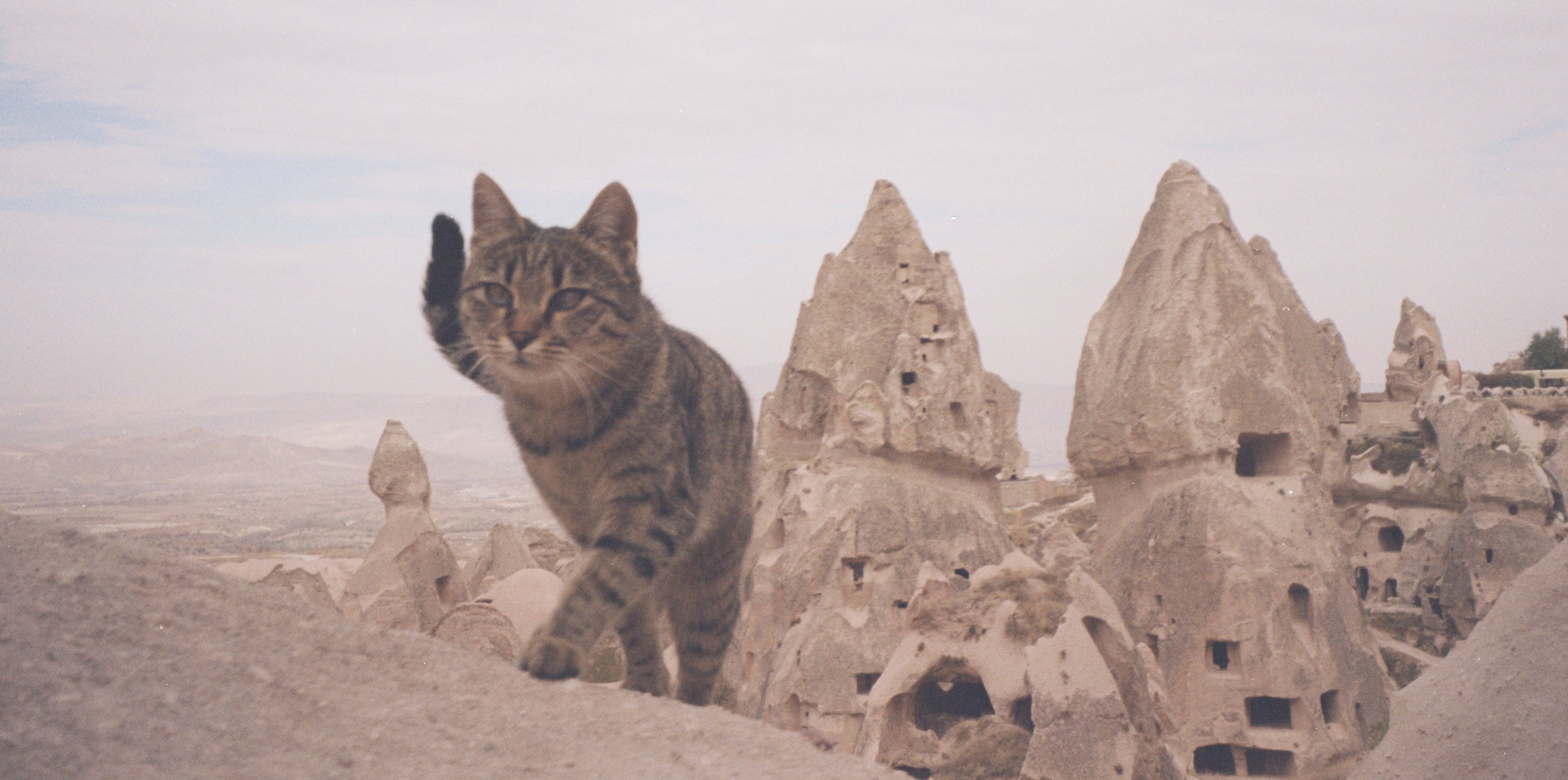A cat with brown and black striped fur standing in front of ancient rock formations and cave dwellings, with a cloudy sky in the background. Taken by Olivia Ladesic in Cappadocia, Turkey on film.