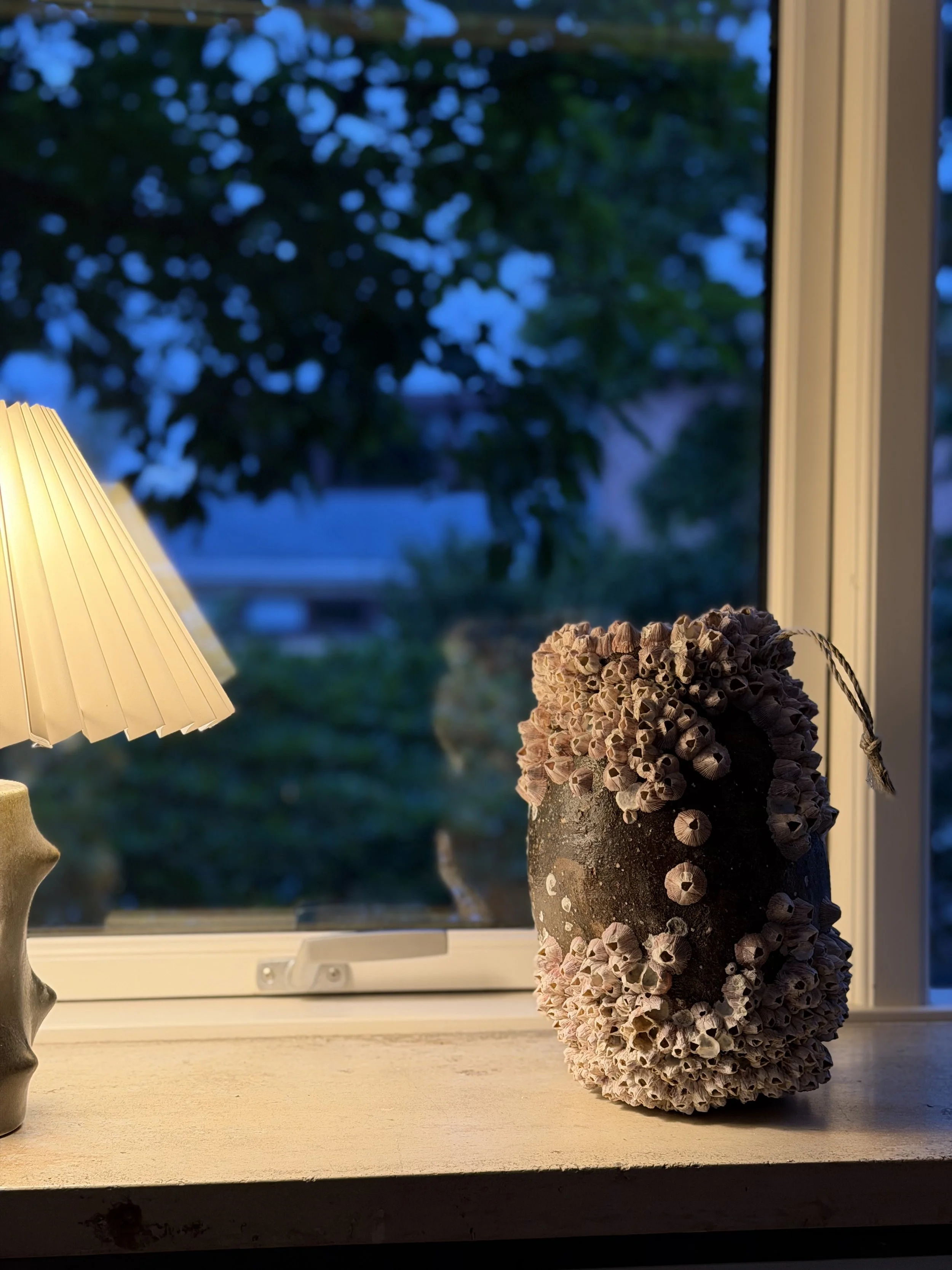 A decorative jar filled with small seashells on a windowsill, with a lamp to the left and a window showing dark foliage outside.
