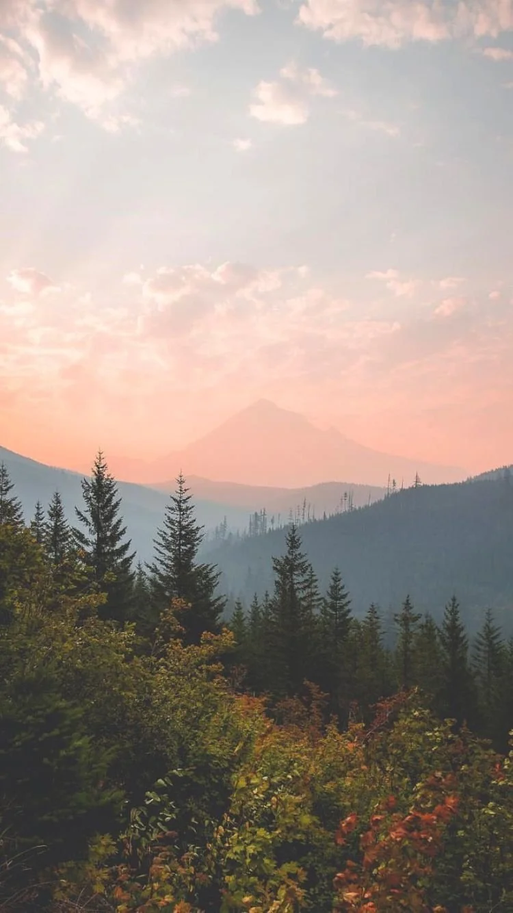 Sunset over a forested mountain landscape with layers of trees and a distant, faint mountain peak.