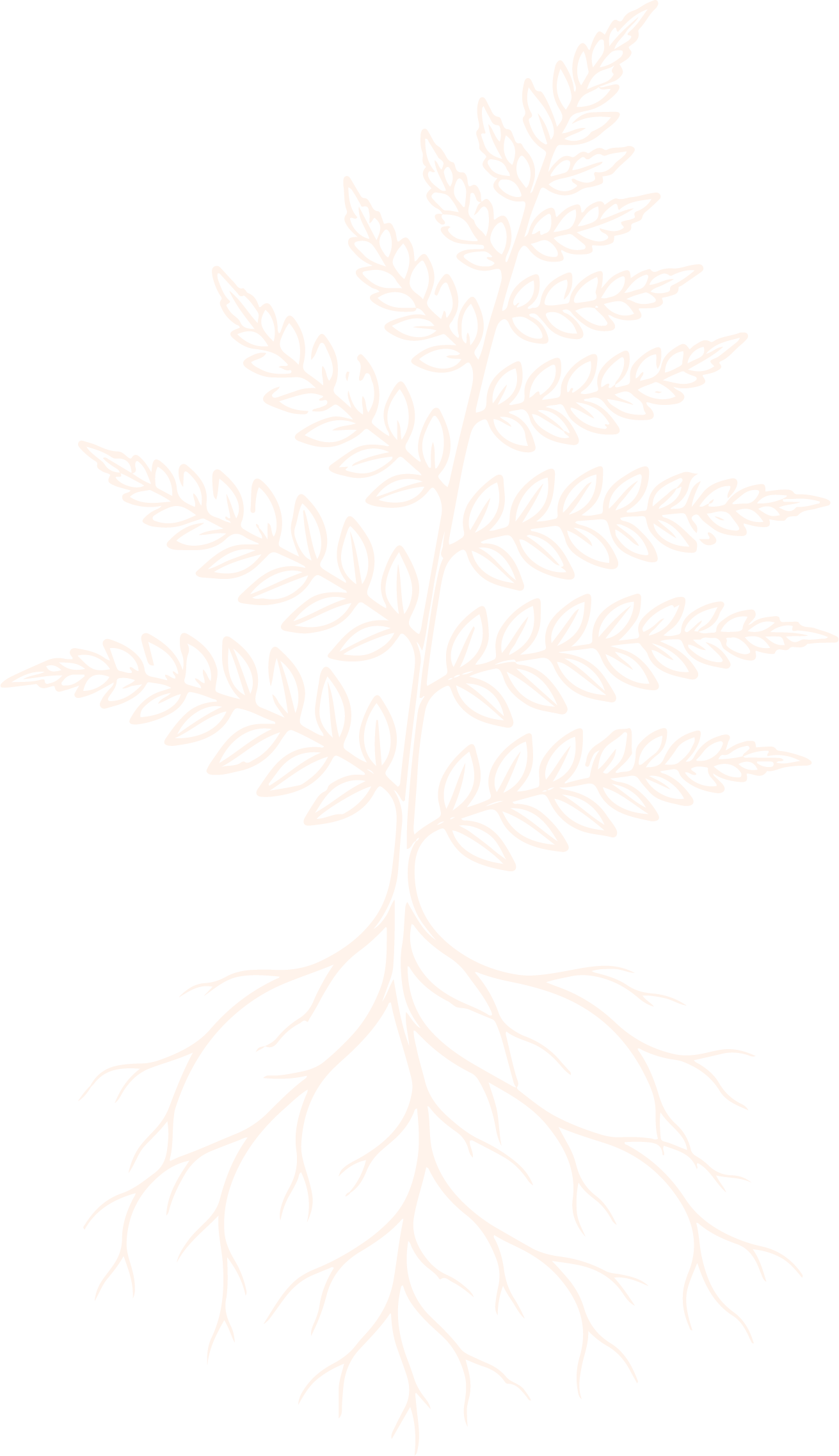 A white outline of a plant with multiple branches and leaves, depicted on a black background.
