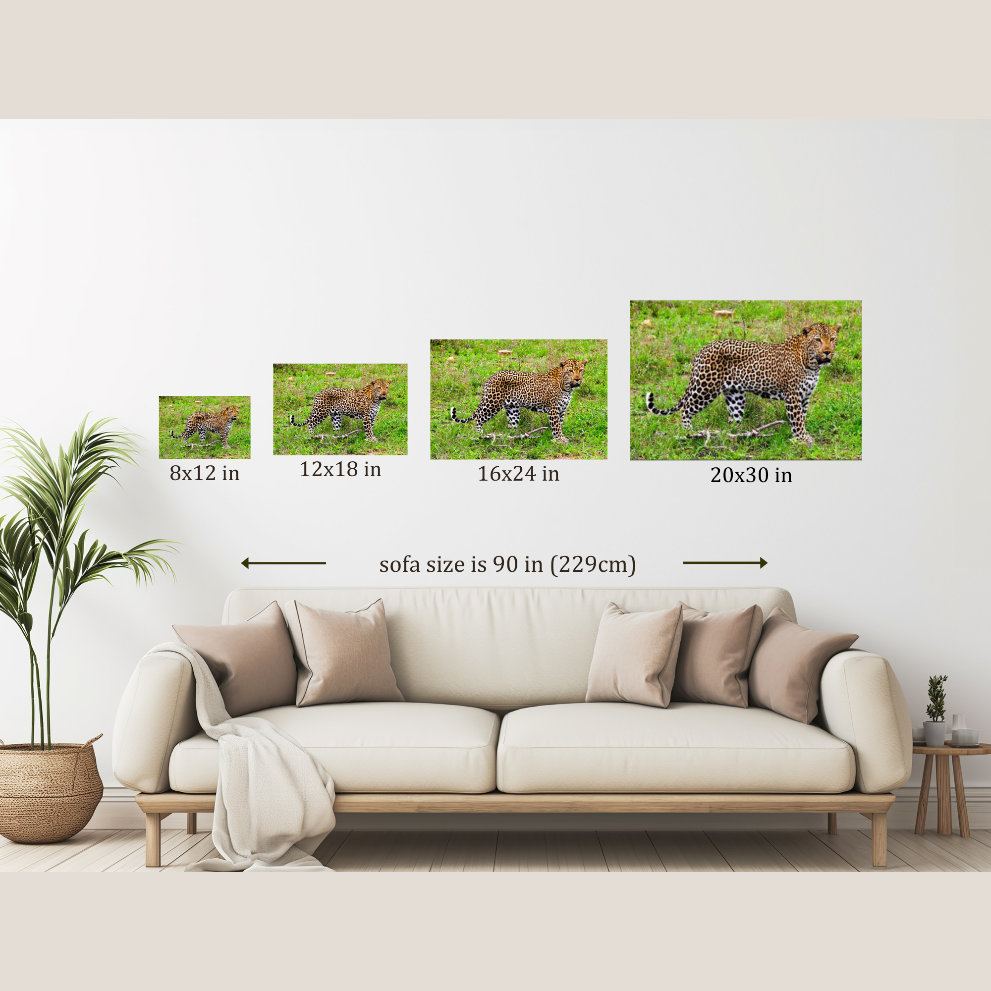 Mockup showing the different sizes available for South African leopard photo hanging on a wall over a couch.