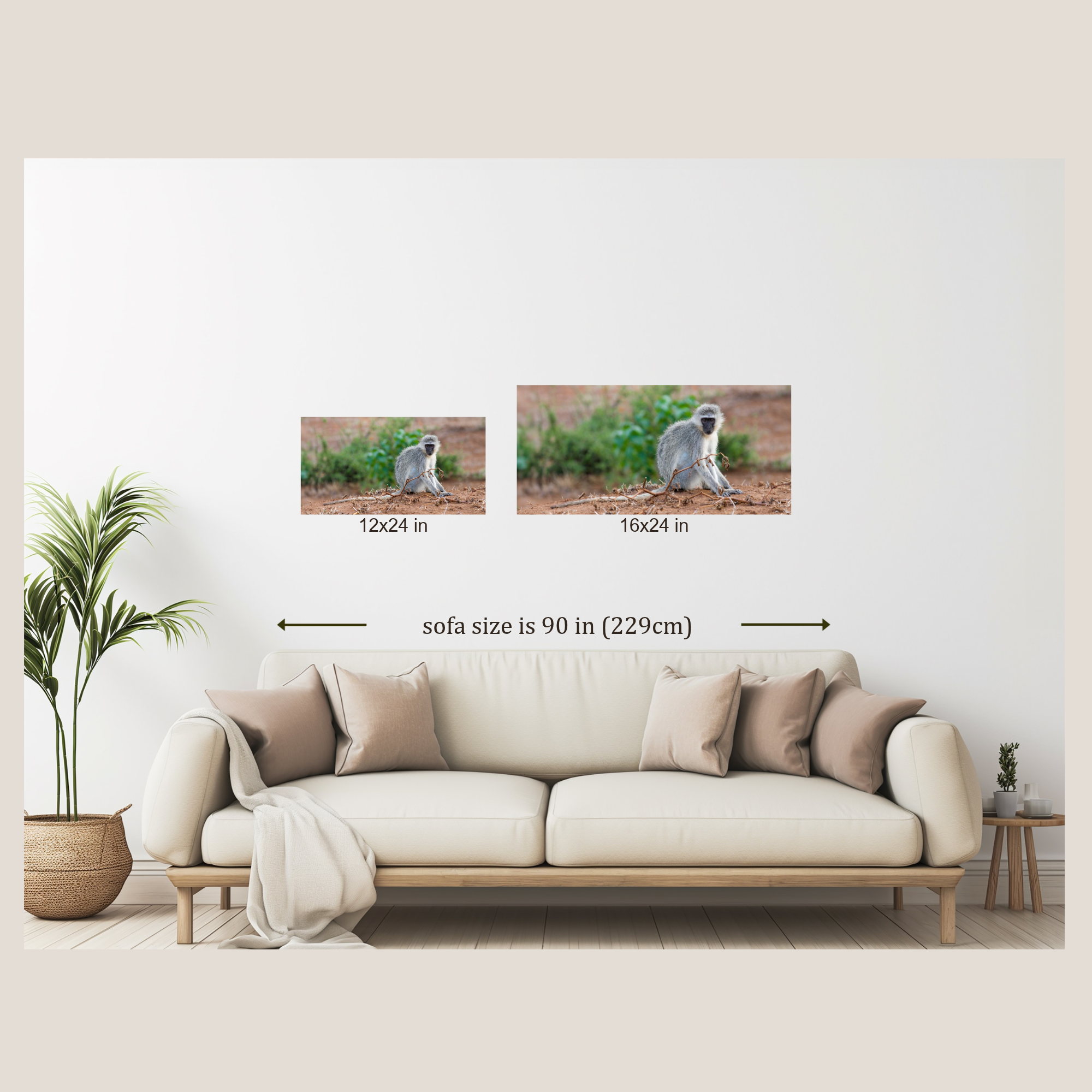 Mockup showing the different sizes available for a vervet monkey photo hanging on a wall over a couch.