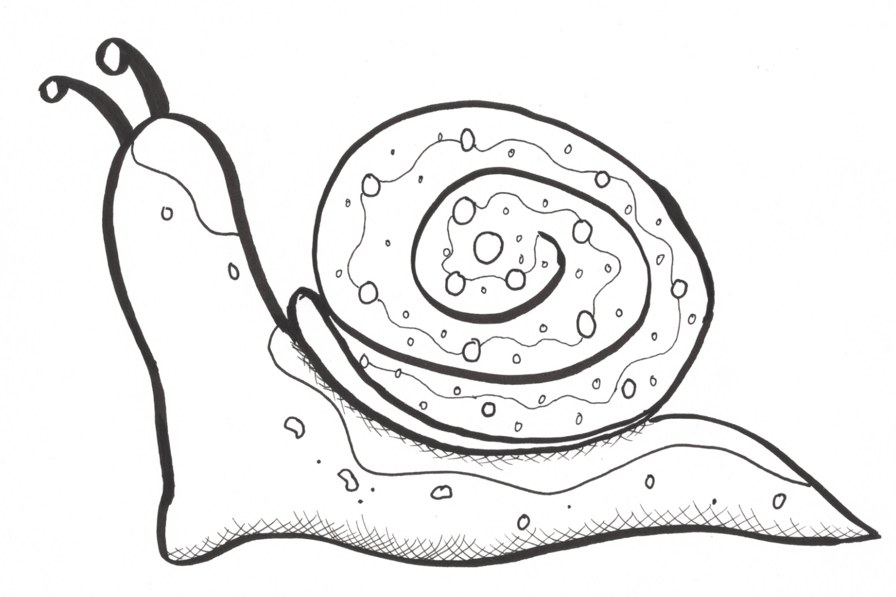 snailminiprint1.png