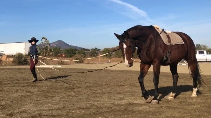 Person in cowboy attire holding a lunge line connected to a horse in an outdoor arena.