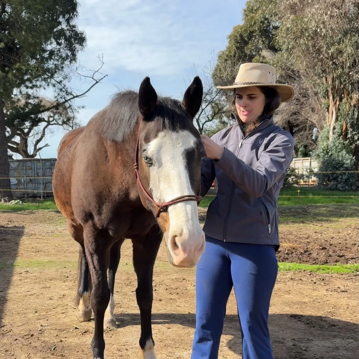 A woman in a gray jacket and wide-brimmed hat tending to a brown and white horse in an outdoor setting with trees and fencing.