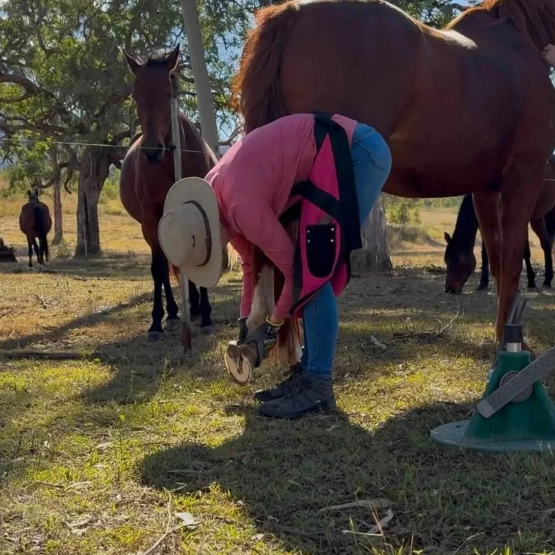 Person bending over, shoeing a brown horse in a grassy outdoor area with trees in the background.