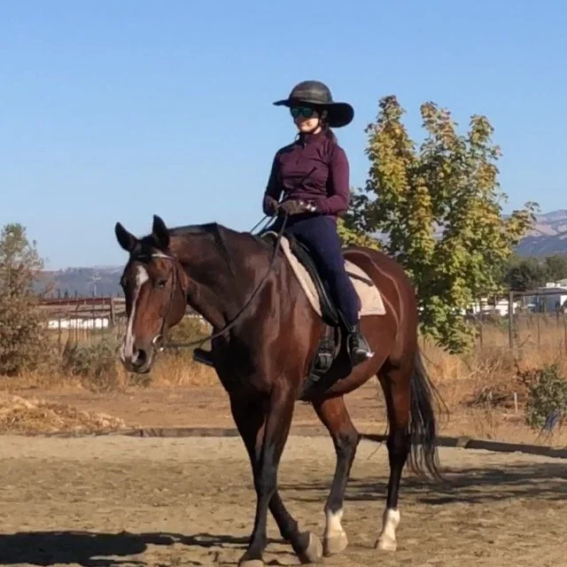 Person riding a brown horse outdoors on a sunny day, wearing a wide-brimmed hat, sunglasses, and dark clothing.