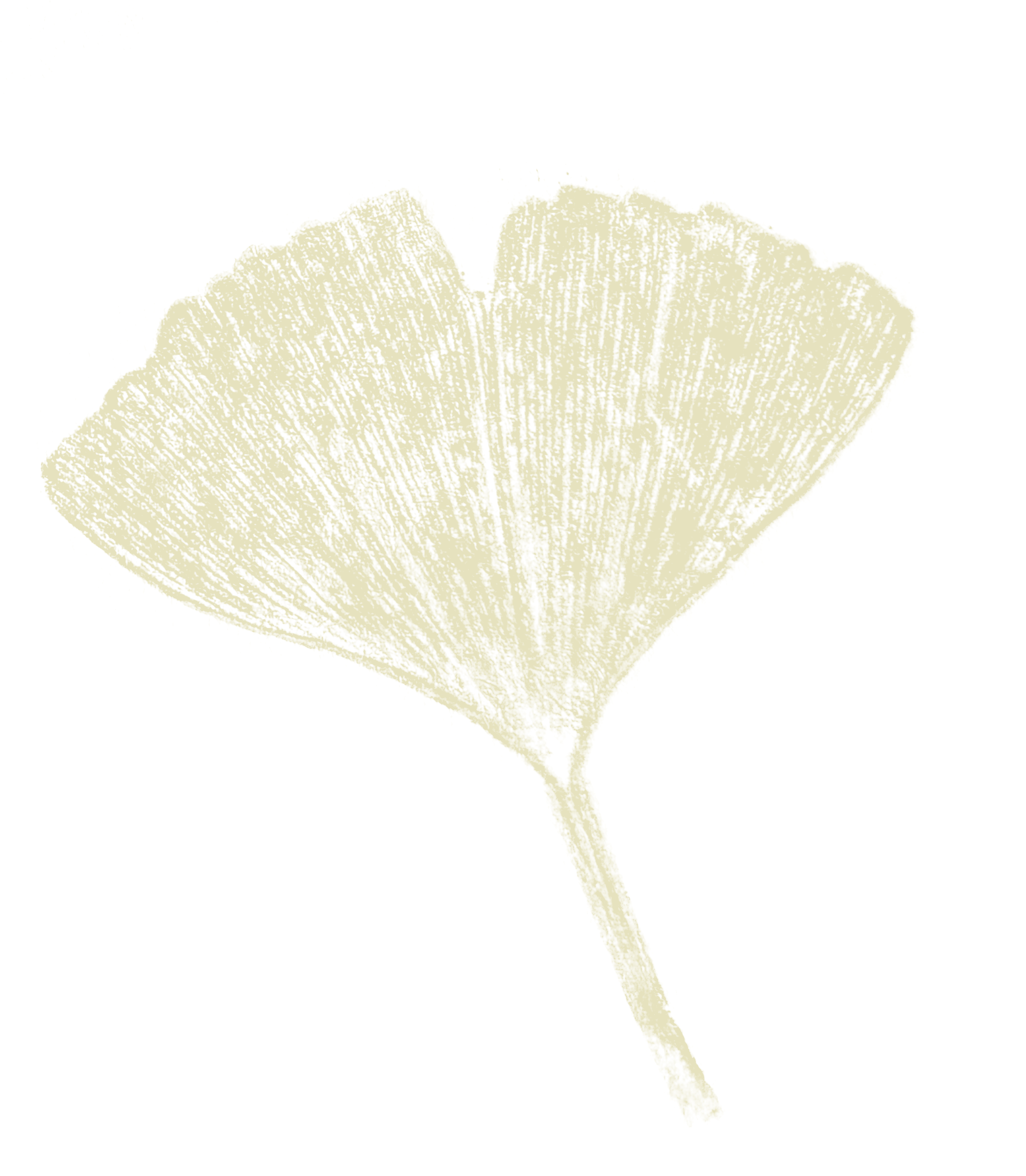 Zwart-wit tekening van een verwelkte bloem met een dunne steel en gebogen bloemblad.
