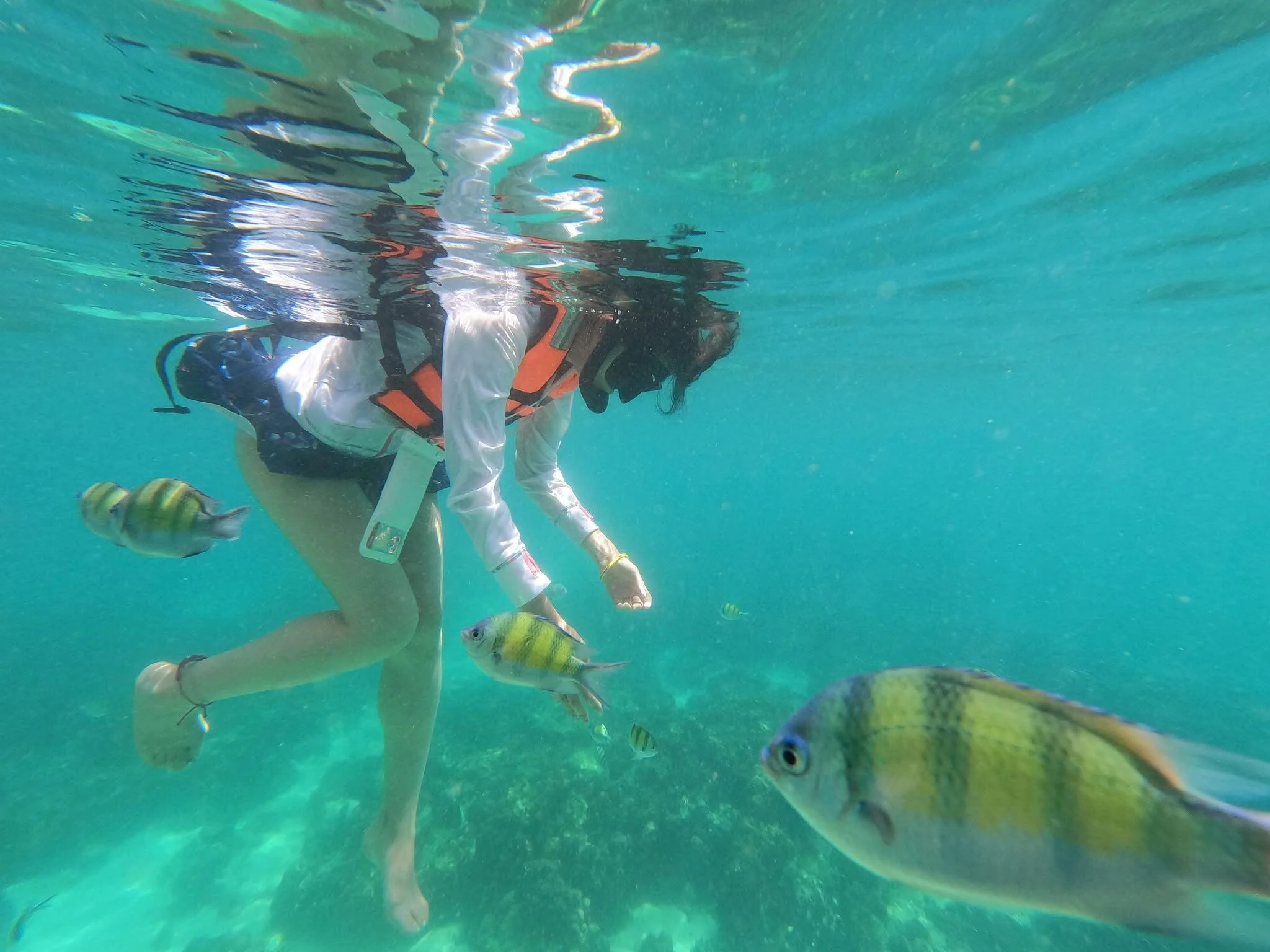 snorkeling-phi-phi-trip.jpg
