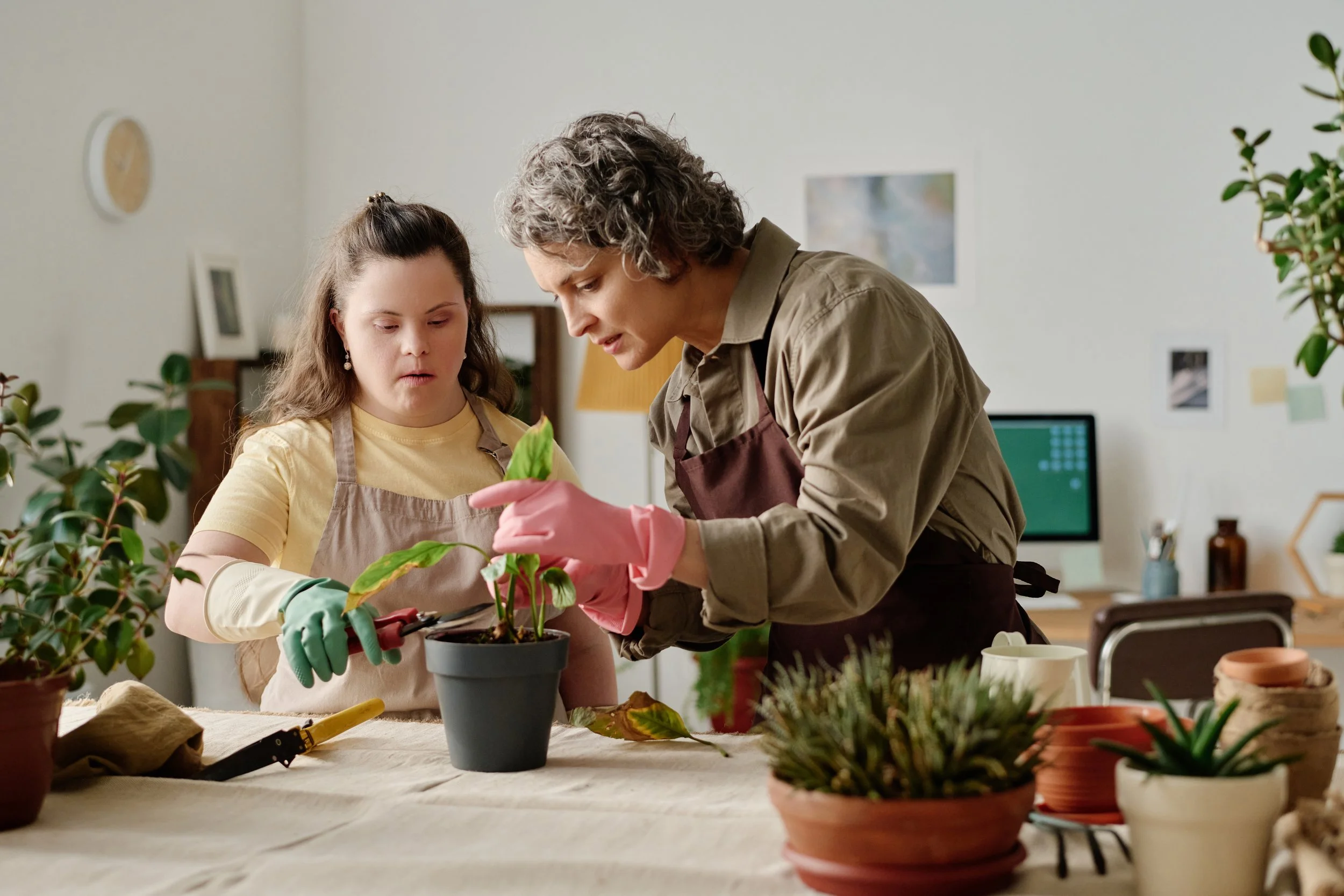 A young woman builds work skills, caring for plants alongside a supportive colleague. She is focused, reflecting occupational therapy employment supports. She is wearing a yellow shirt, apron, using pruning shears in a bright environment.