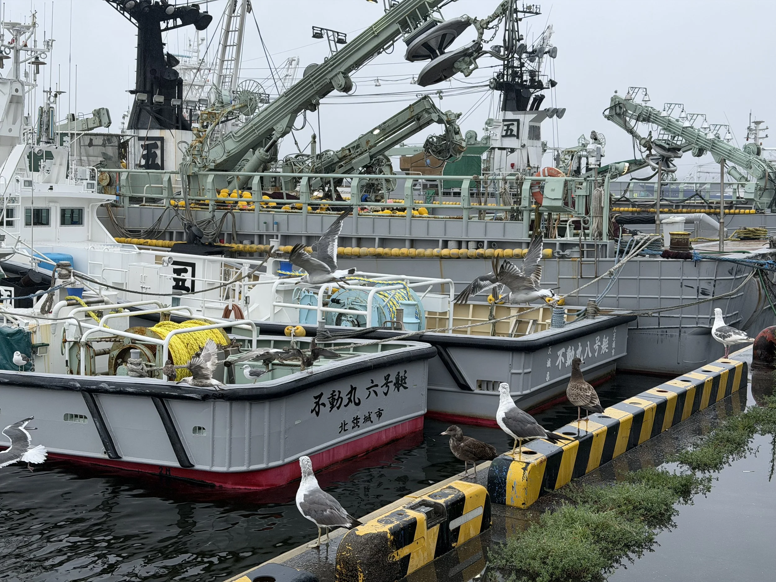 Aomori, Day 2