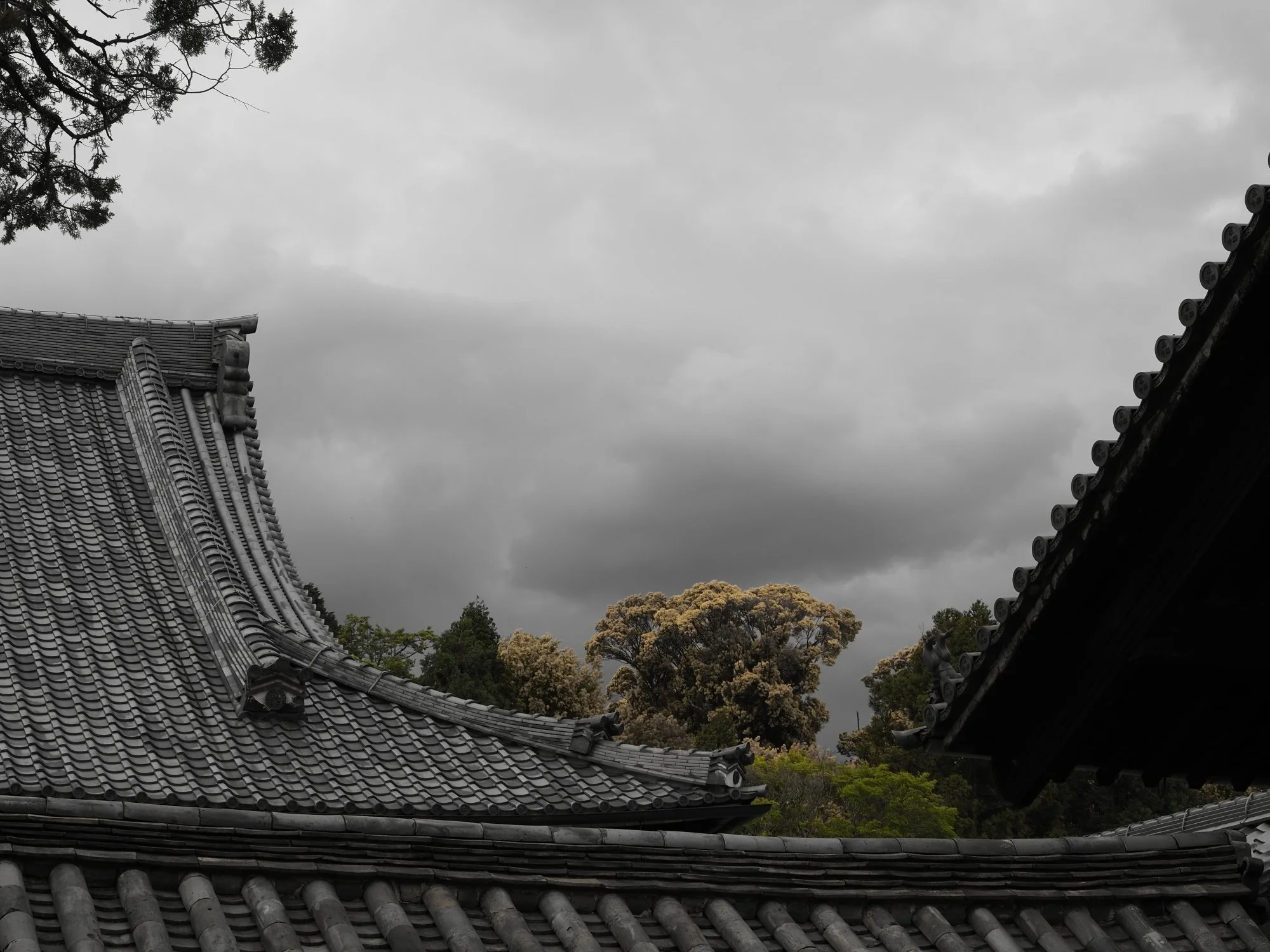 Kyoto.jpg
