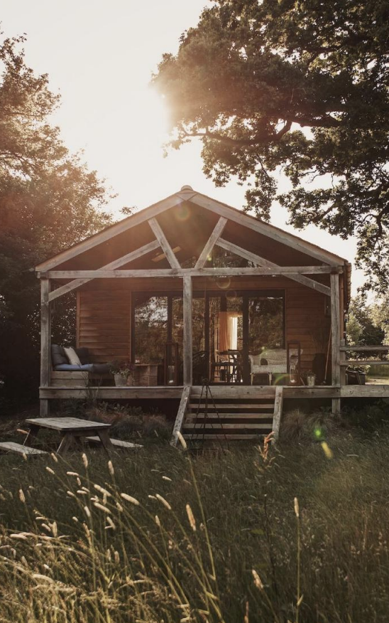 A wooden house in the woods with a front porch, surrounded by trees and tall grass, illuminated by sunlight.