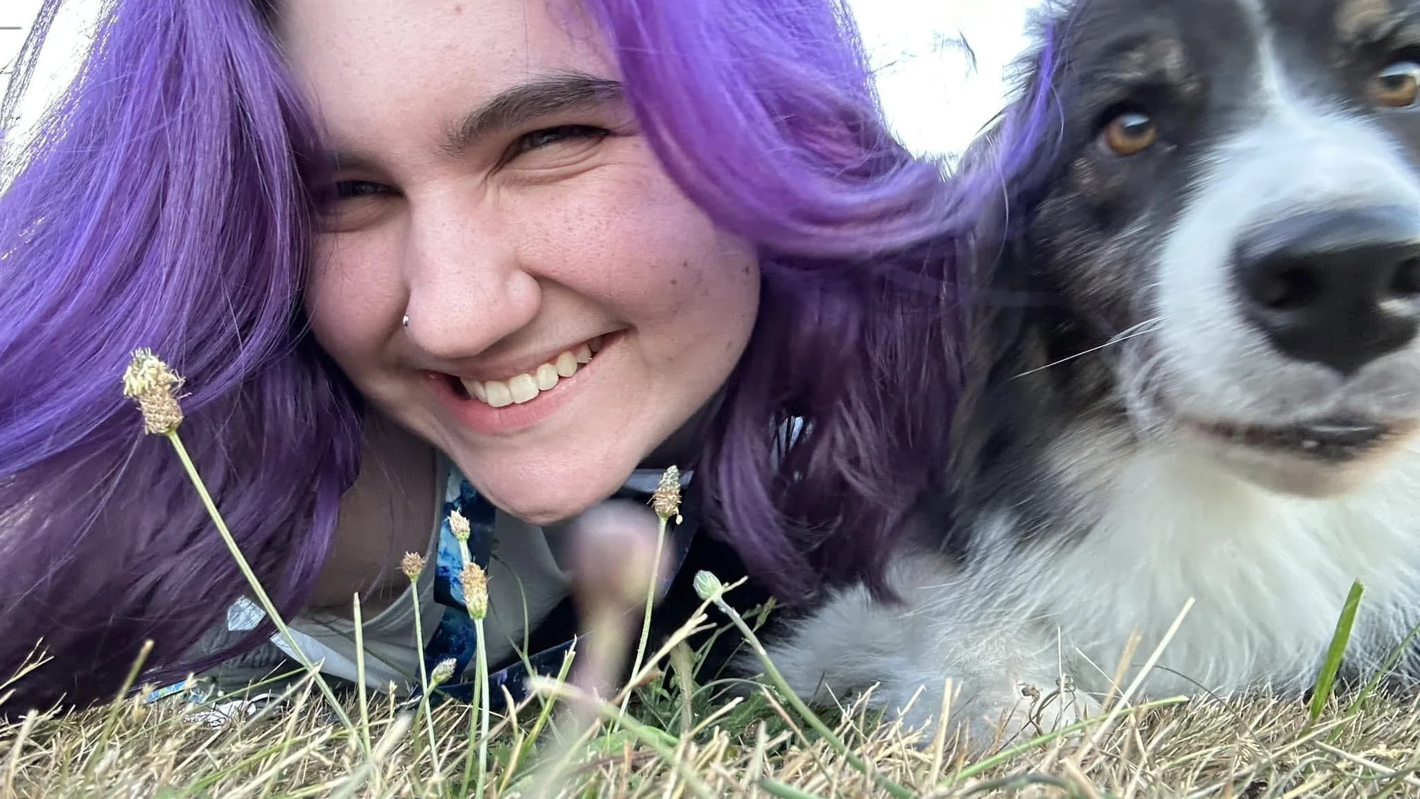 A person with long purple hair smiling next to a black and white dog, lying in the grass with wildflowers.