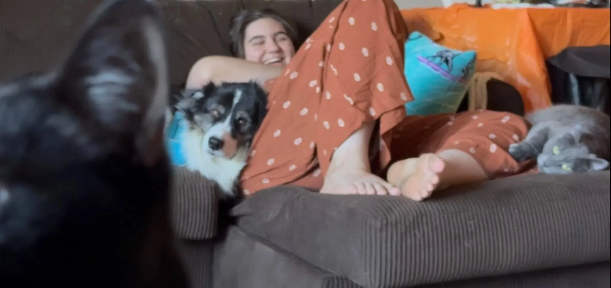 A person lying on a brown couch with two dogs, one black and white and one gray, close to them, all appearing relaxed and happy.