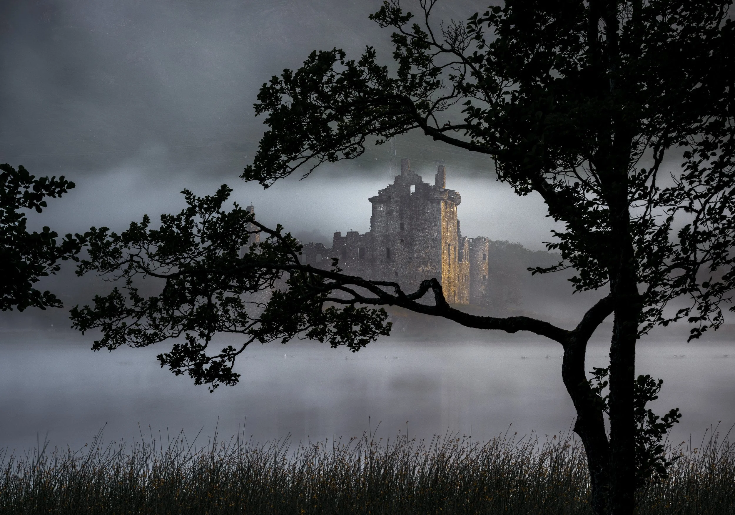 Peering through gap in the trees to see the castle beginning to glow from the morning sunrise. 