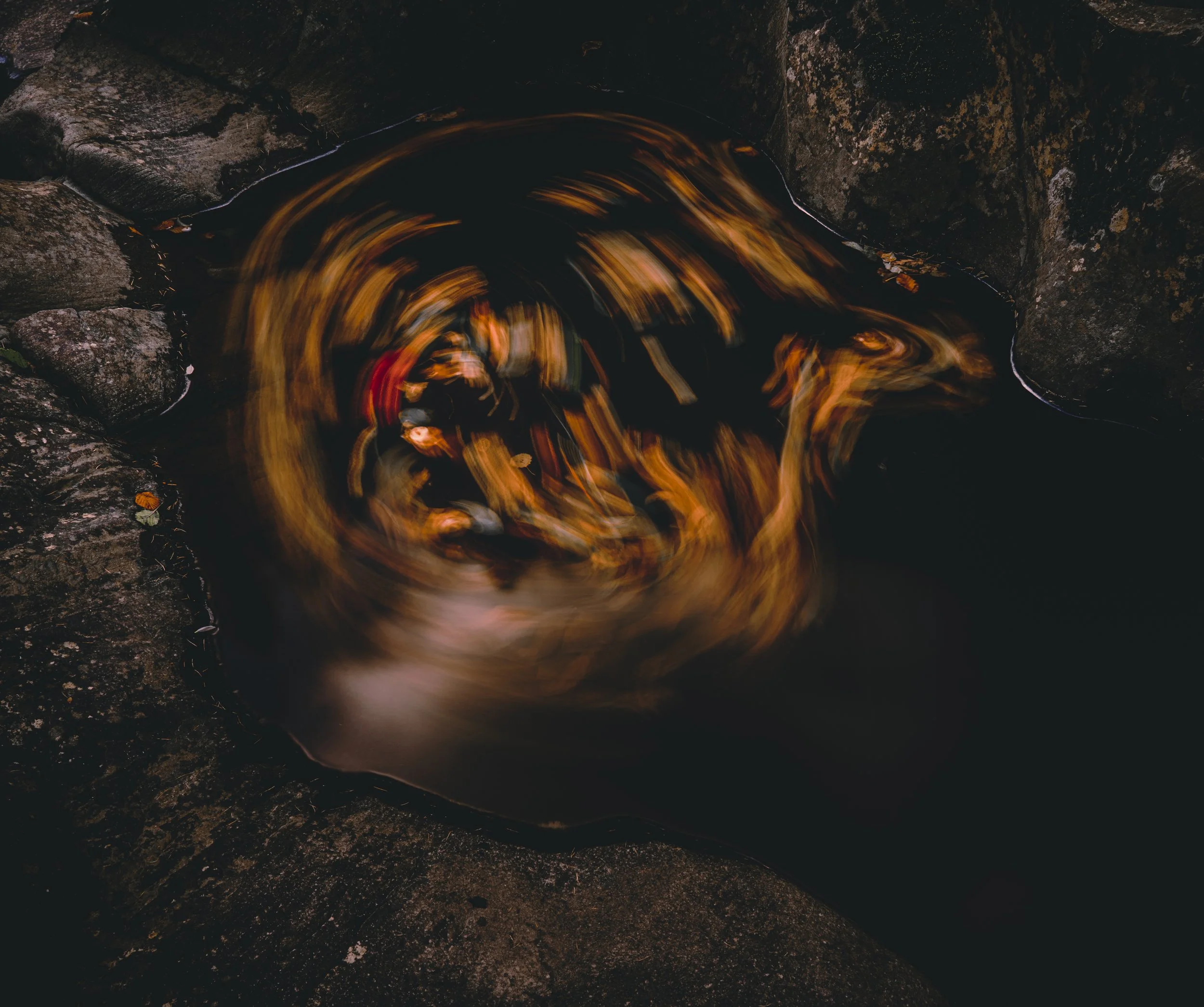 A swirling stream of orange and yellow leaves in dark water surrounded by large rocks.