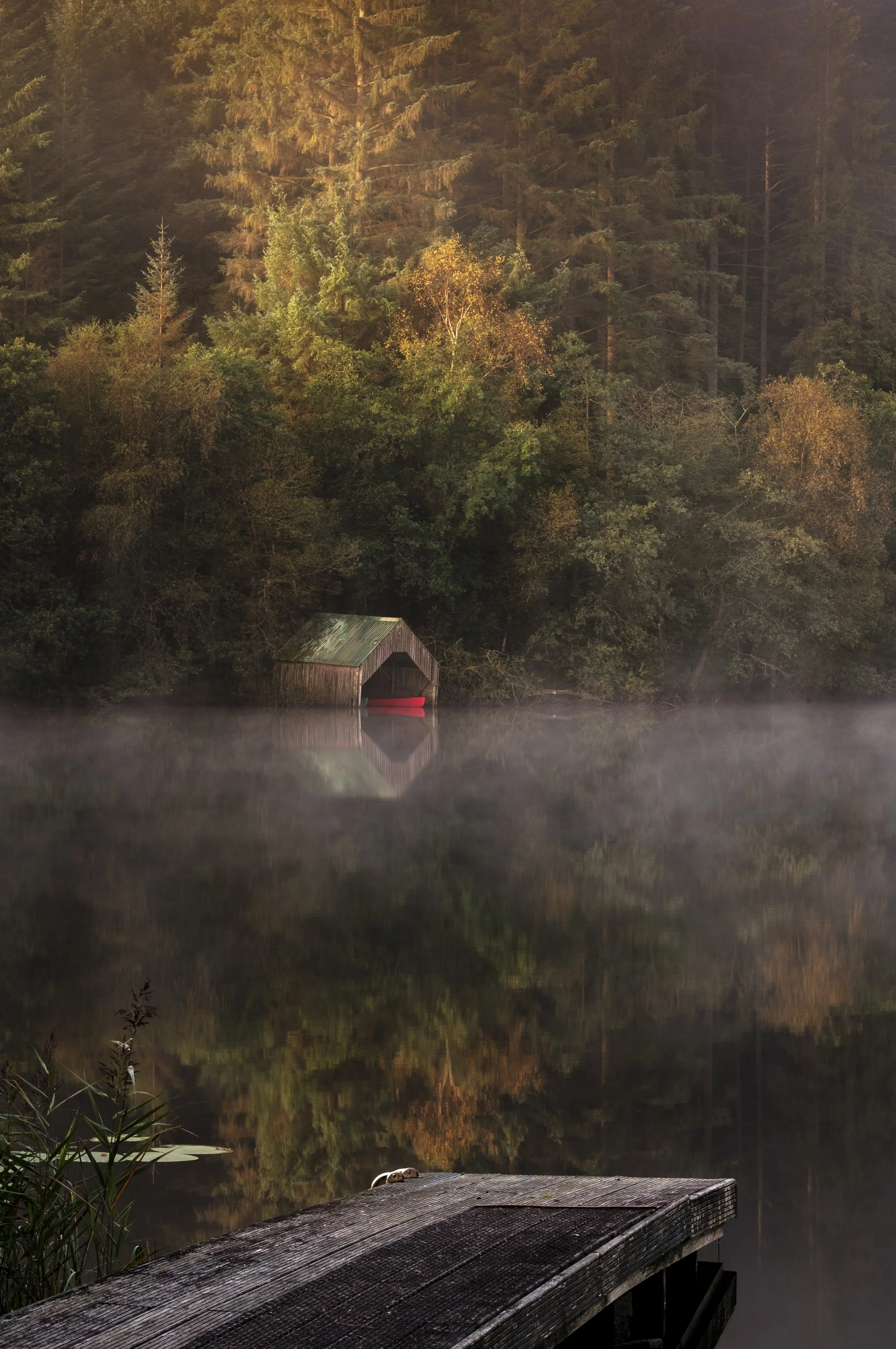 A serene lake scene at dawn, with calm water reflecting trees and a small wooden boathouse surrounded by lush trees, some showing fall colors.