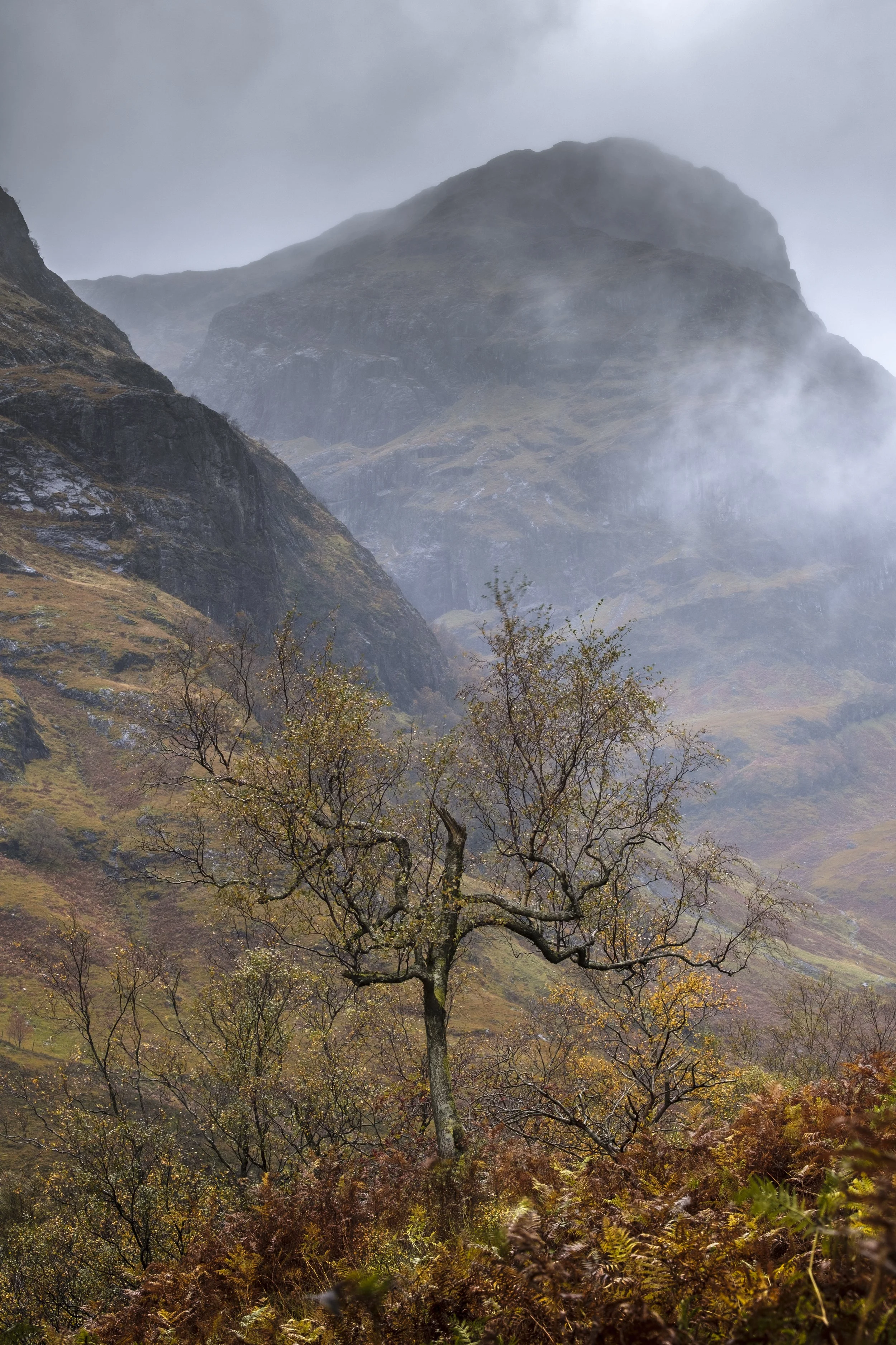 A foggy mountain landscape with rugged terrain, sparse trees, and brownish foliage in the foreground.