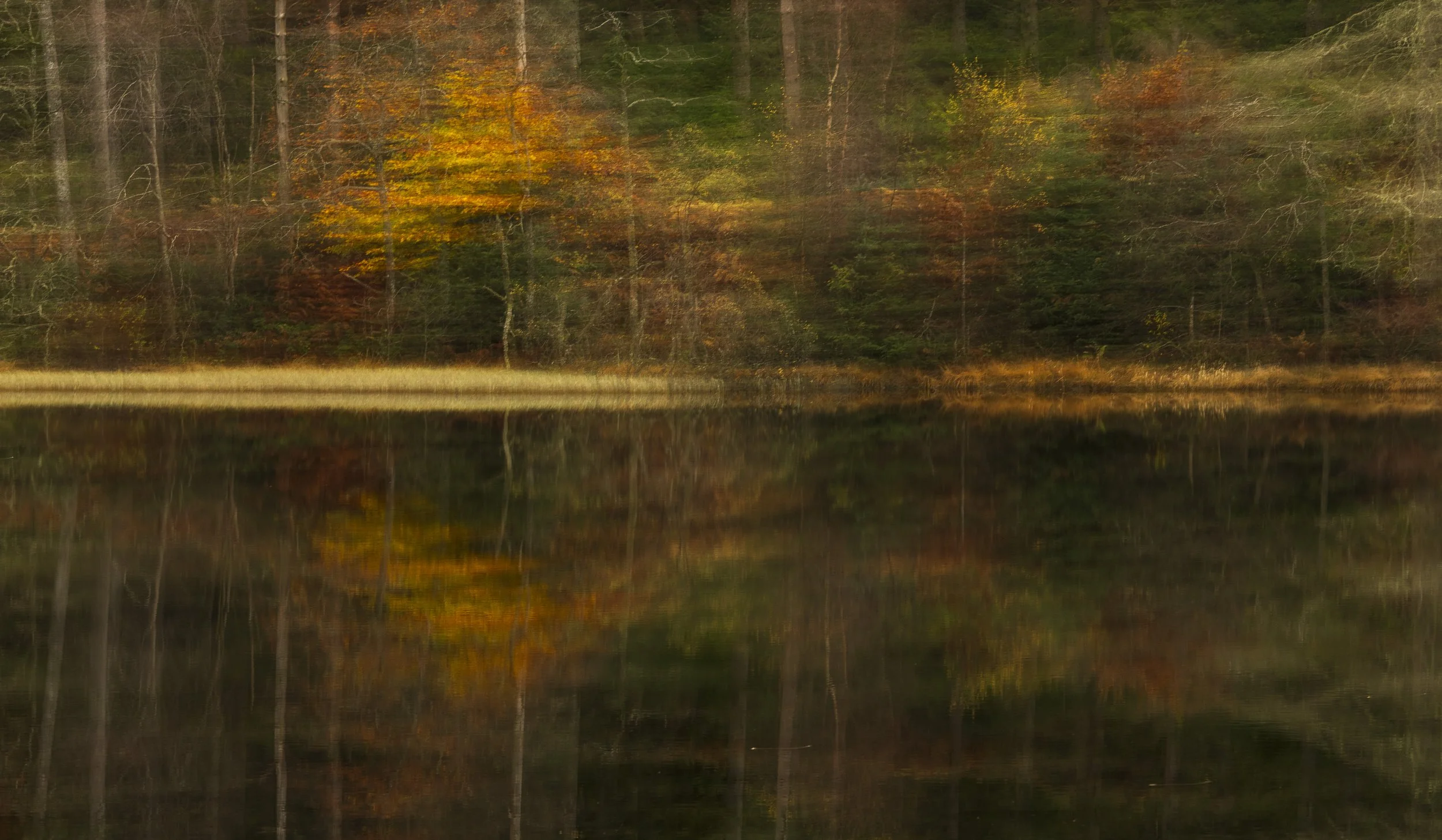autumn trees by a pond with reflections, showing fall colors of orange, yellow, and green leaves