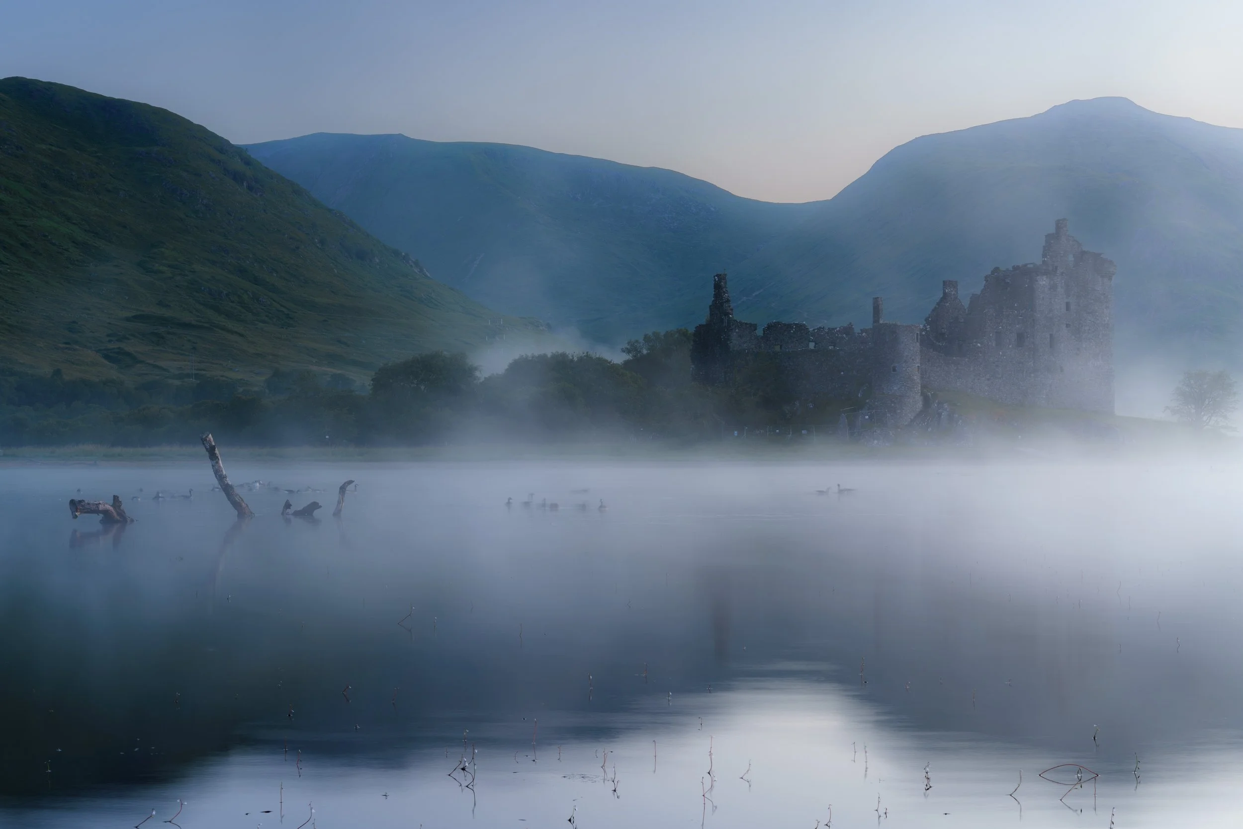The birds swim by on the loch, a fallen tree resembles a Loch Monster and the eerie castle slowly appears from the morning fog.