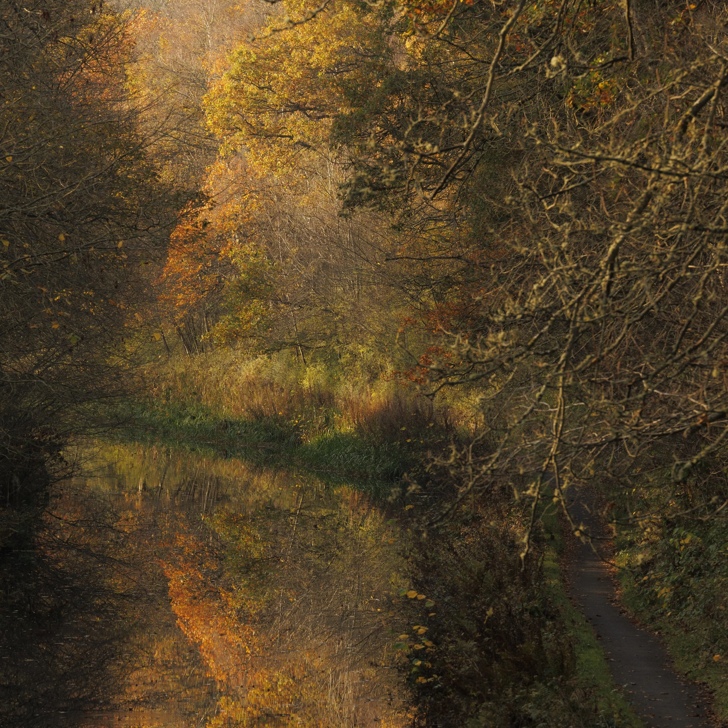 Autumn scene of a calm river reflecting trees with orange, yellow, and green leaves on both sides, with a pathway along the water's edge.