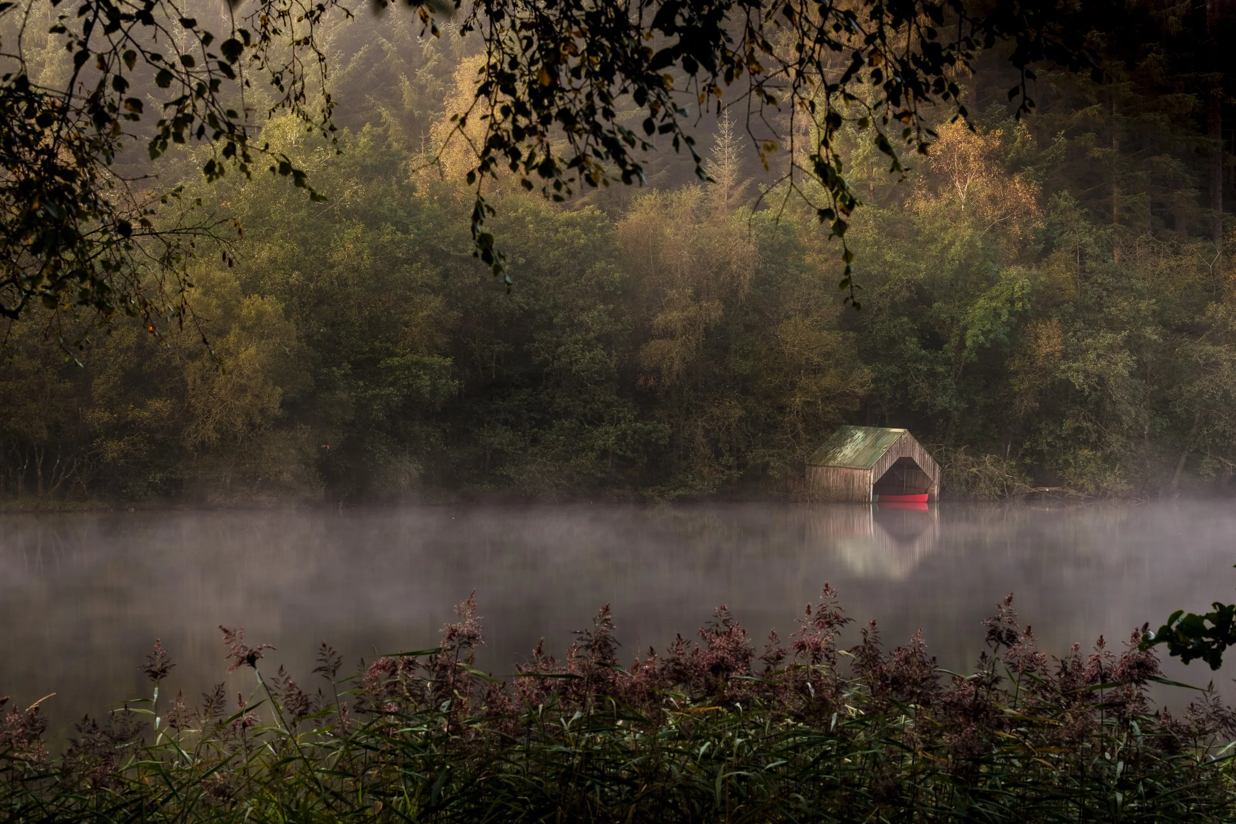 A misty lake with a rustic boathouse and a wooded hillside at sunrise or sunset, framed by overhanging tree branches and wildflowers in the foreground.