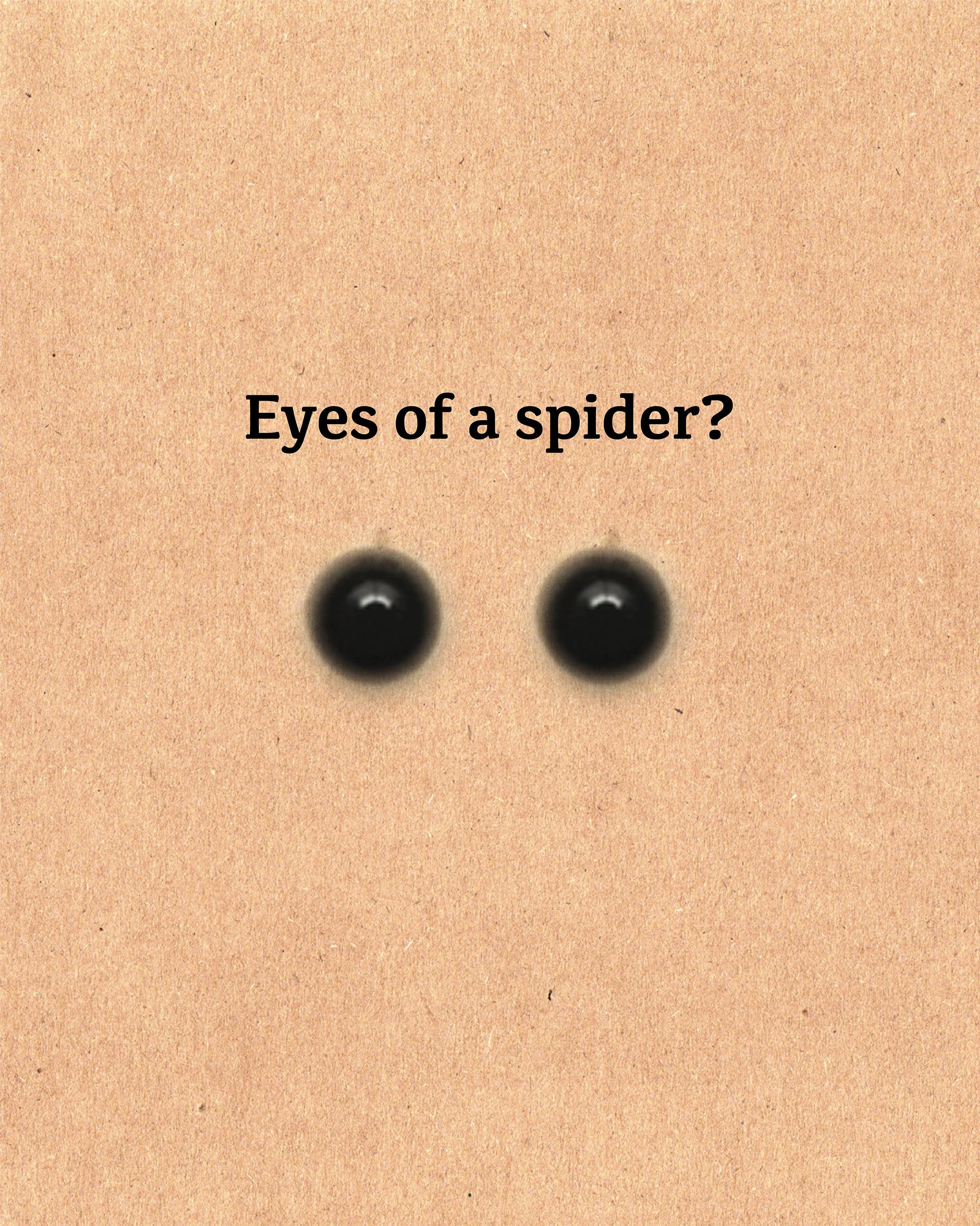 Close-up of a brown surface with two black circular objects and the text 'Eyes of a spider' printed on it.