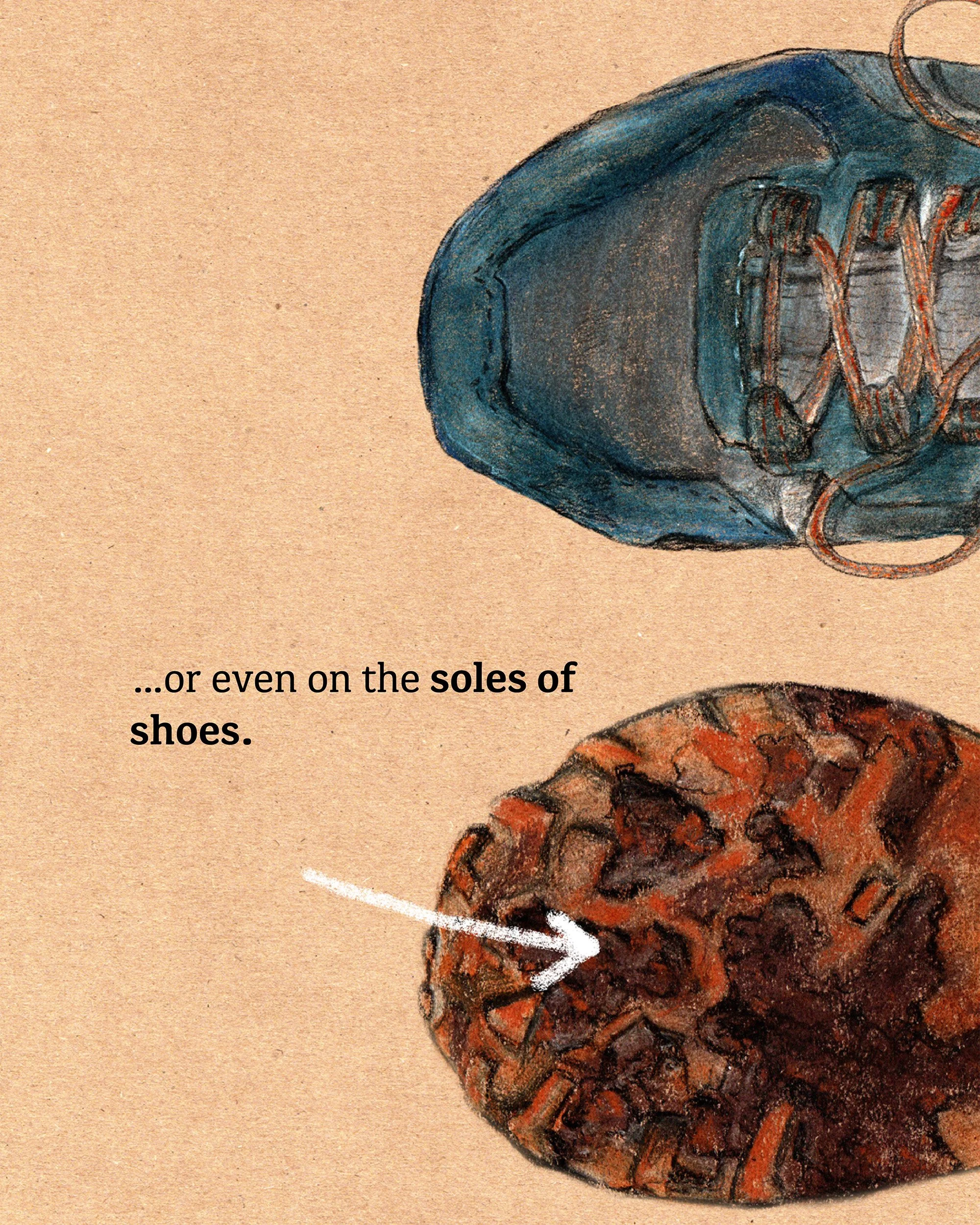 Close-up of a sneaker with a painted illustration of a shoe on a tan background.