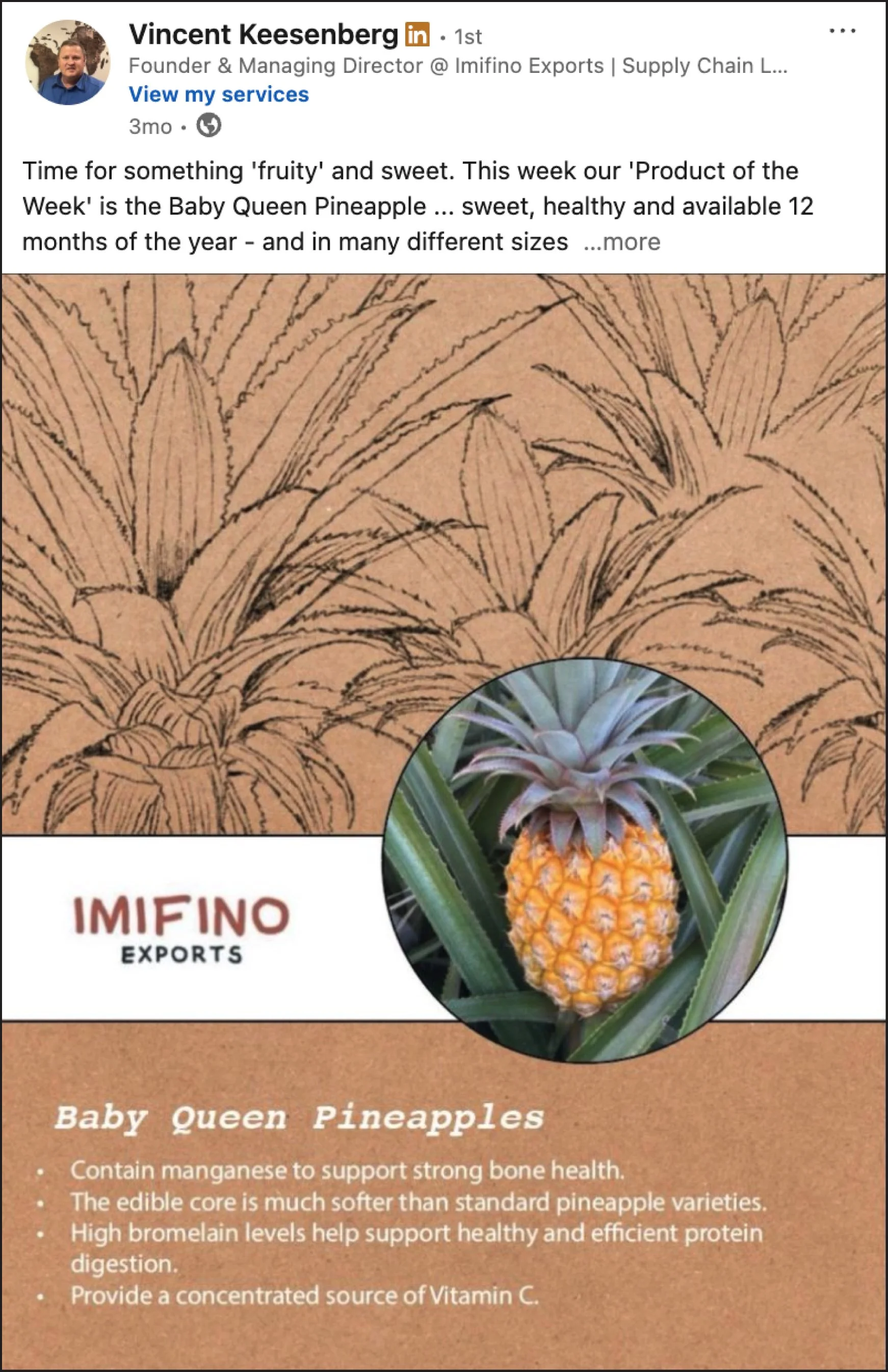 A promotional post for Baby Queen Pineapples, featuring a close-up photo of a pineapple among green leaves. Behind it, there is a background with a sketch or drawing of pineapple plants, and text that describes the health benefits and features of Baby Queen Pineapples.
