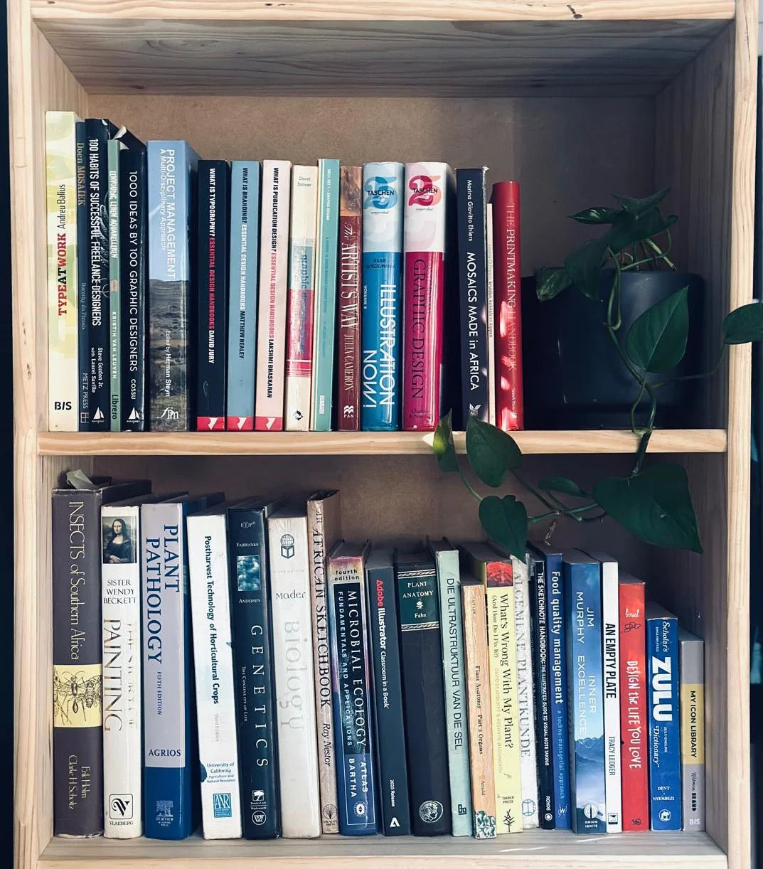 Bookshelves with art, design, psychology, and educational books, and a potted plant on the right side.