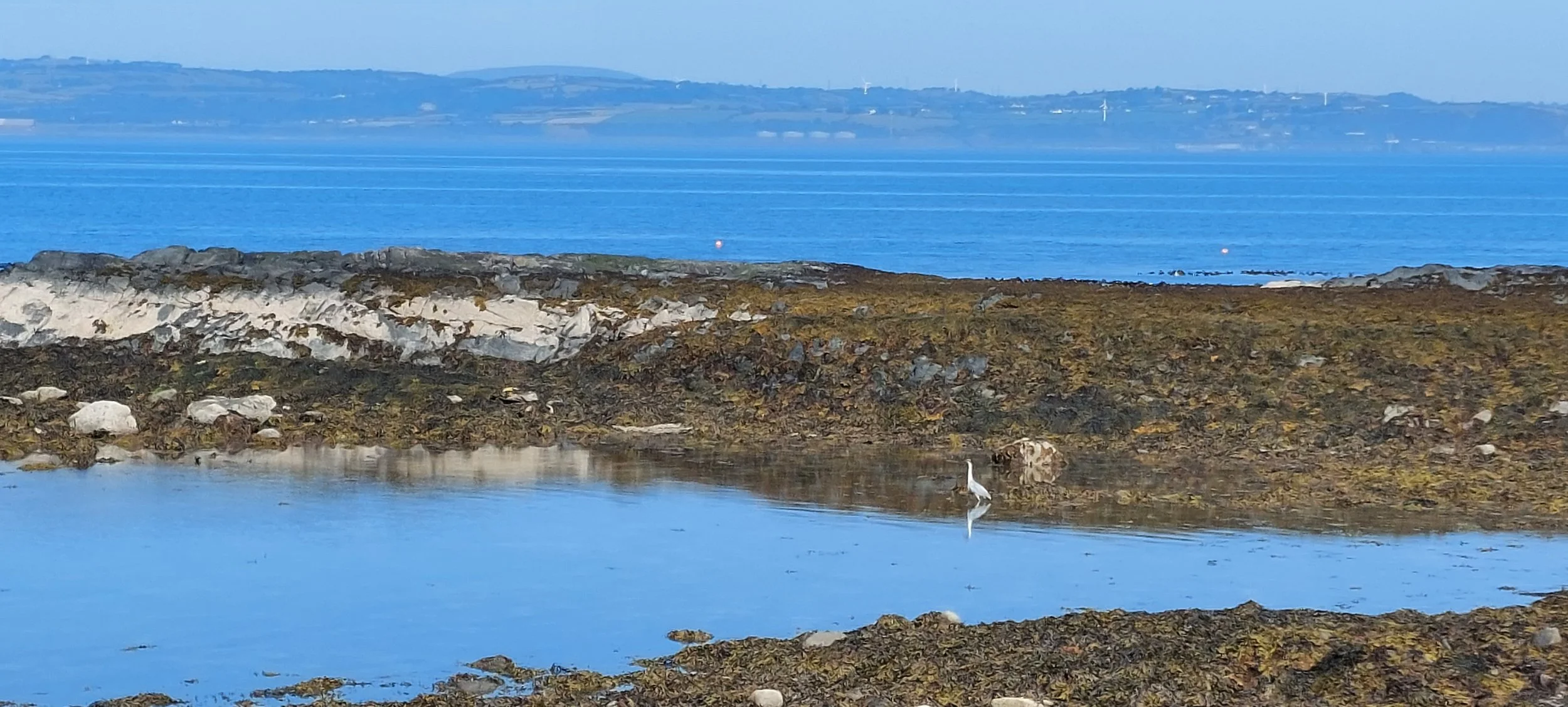 A coastal landscape with rocks and water in the foreground, a white bird standing in the water, and a calm blue sea extending to distant hills under a clear sky.